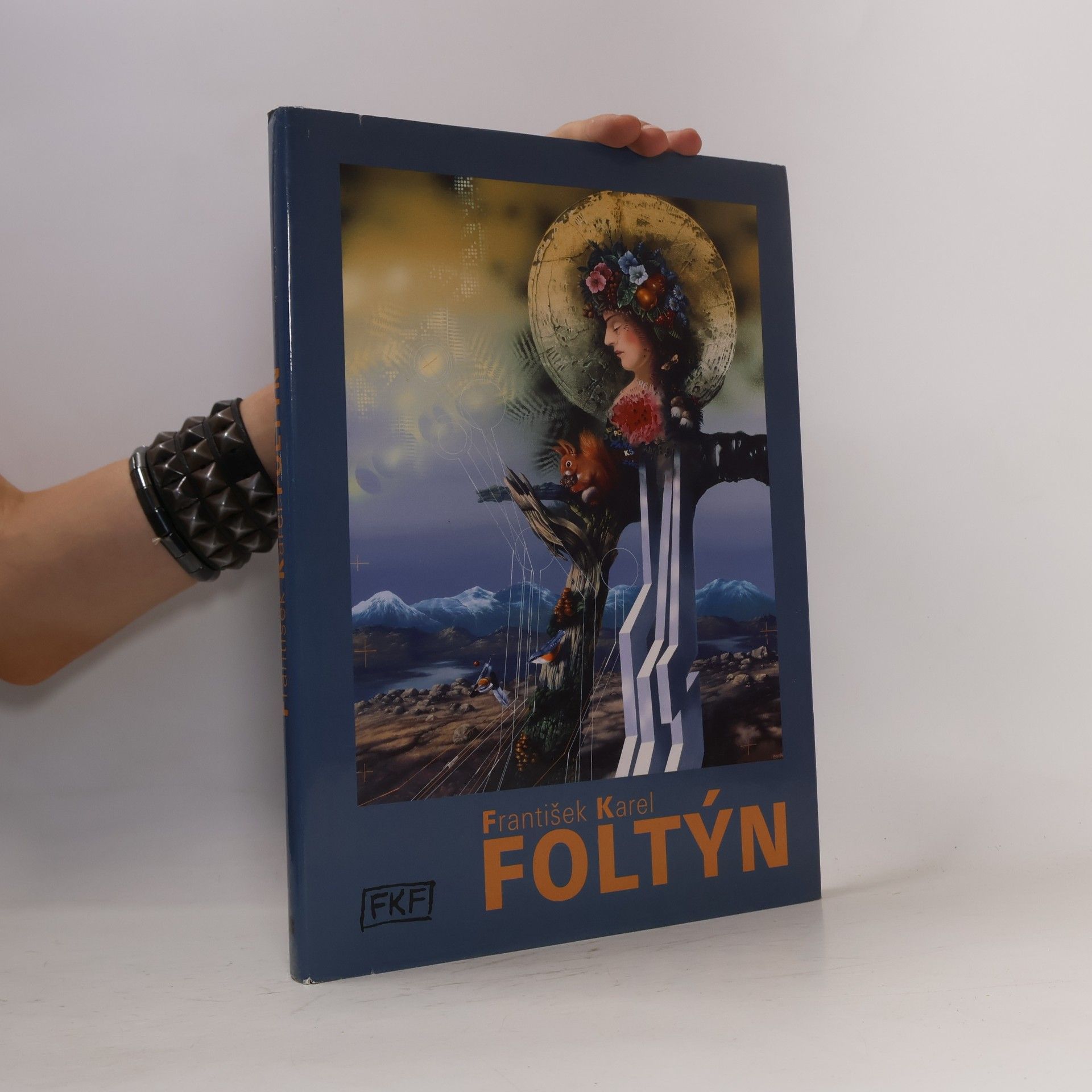 Kolektiv autorů Monografie malíře Františka Karla Foltýna