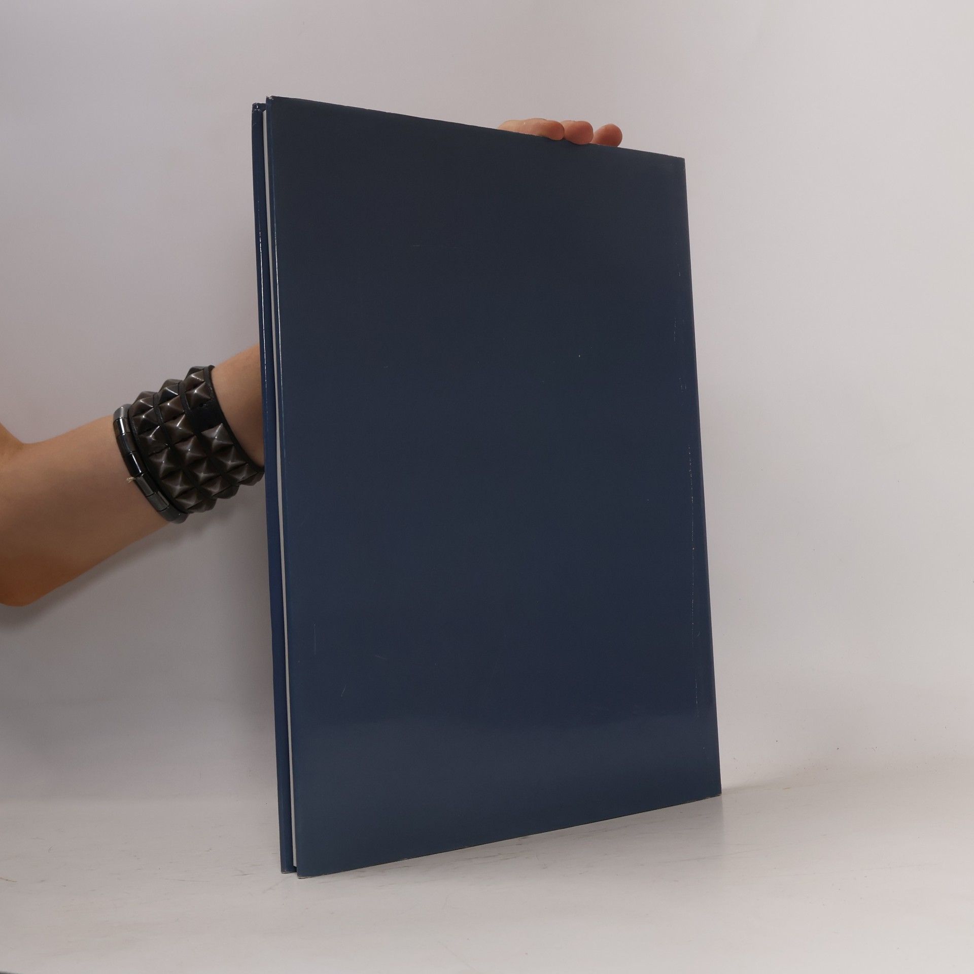 Kolektiv autorů Monografie malíře Františka Karla Foltýna