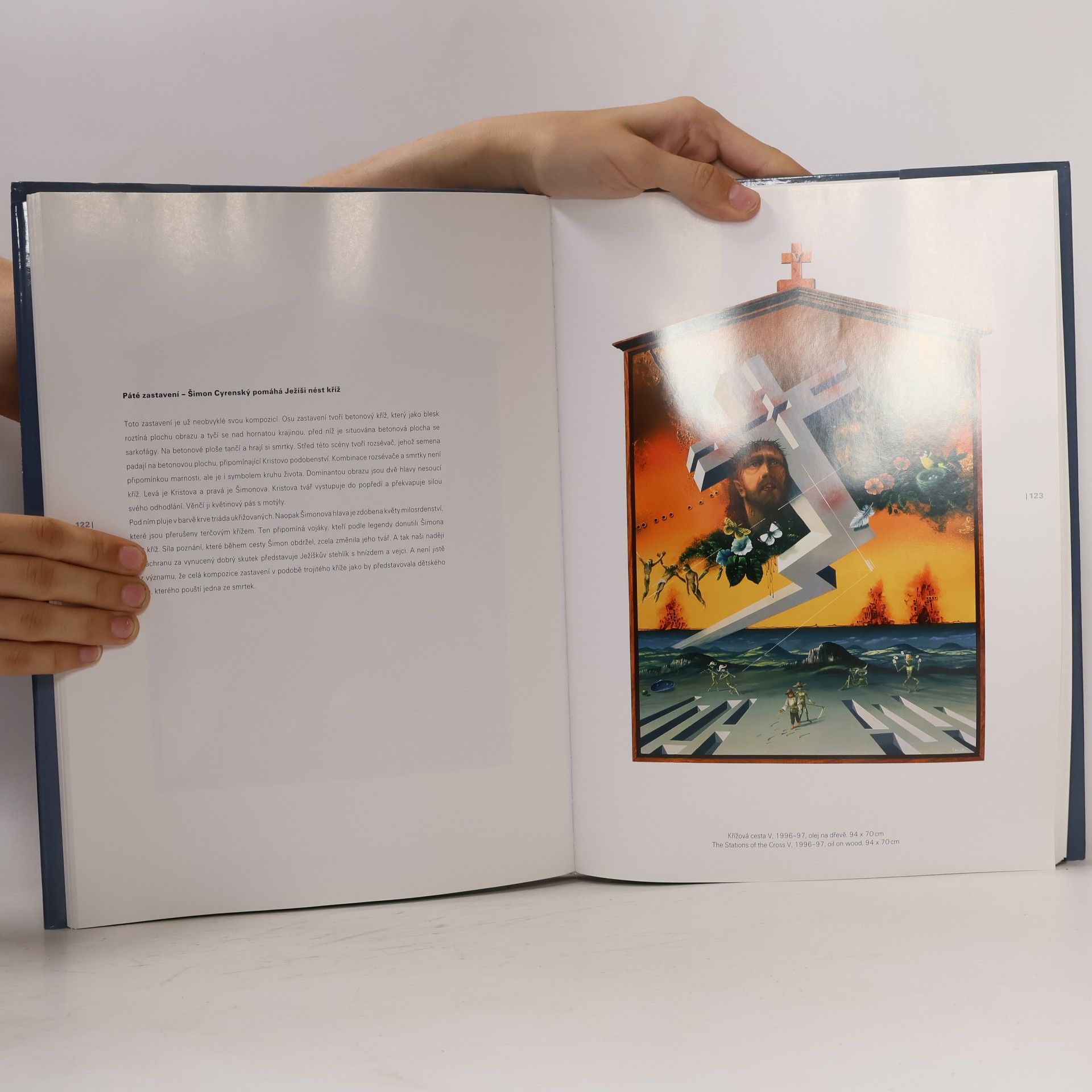 Kolektiv autorů Monografie malíře Františka Karla Foltýna