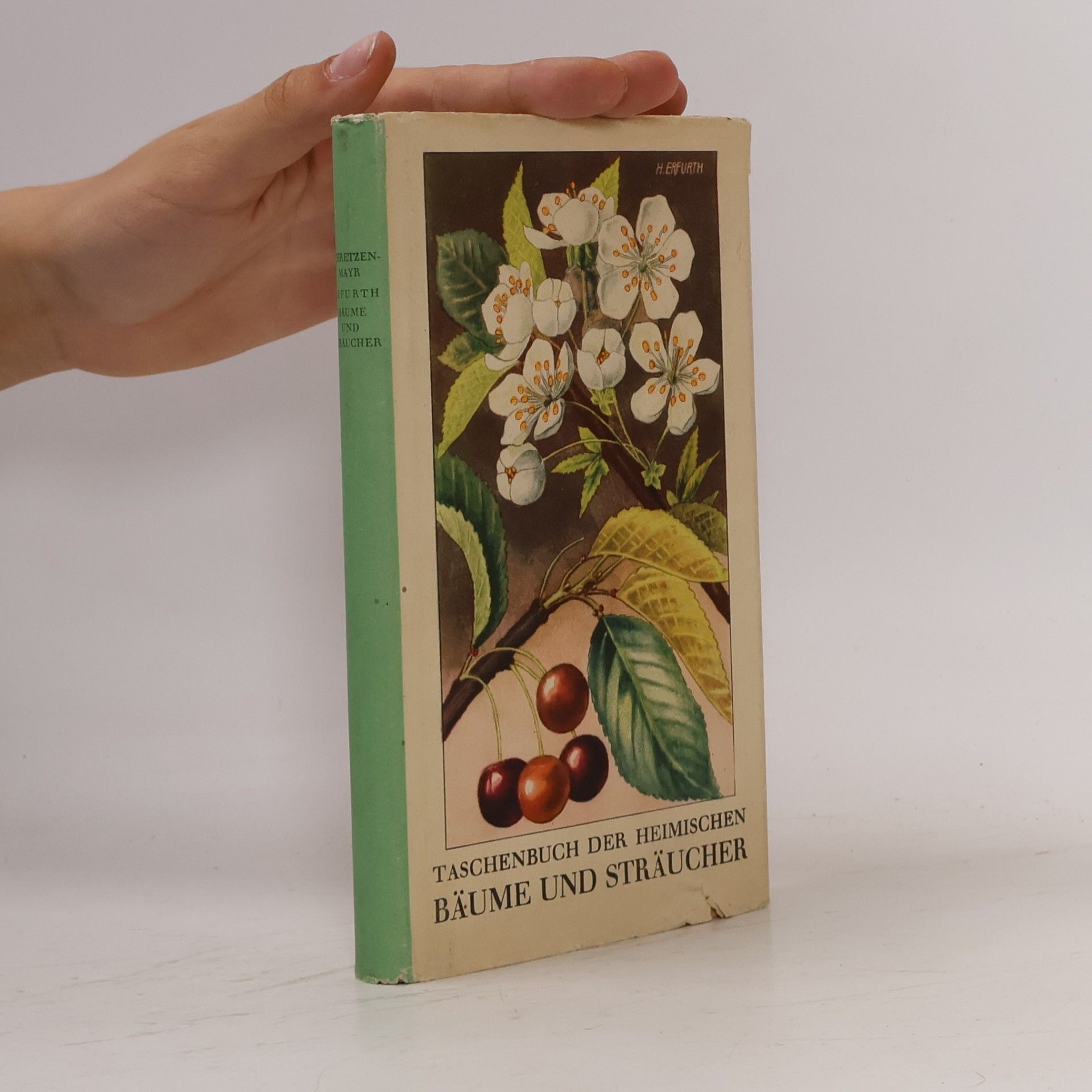 Martin Schretzenmayr Taschenbuch der heimischen Bäume und Sträucher