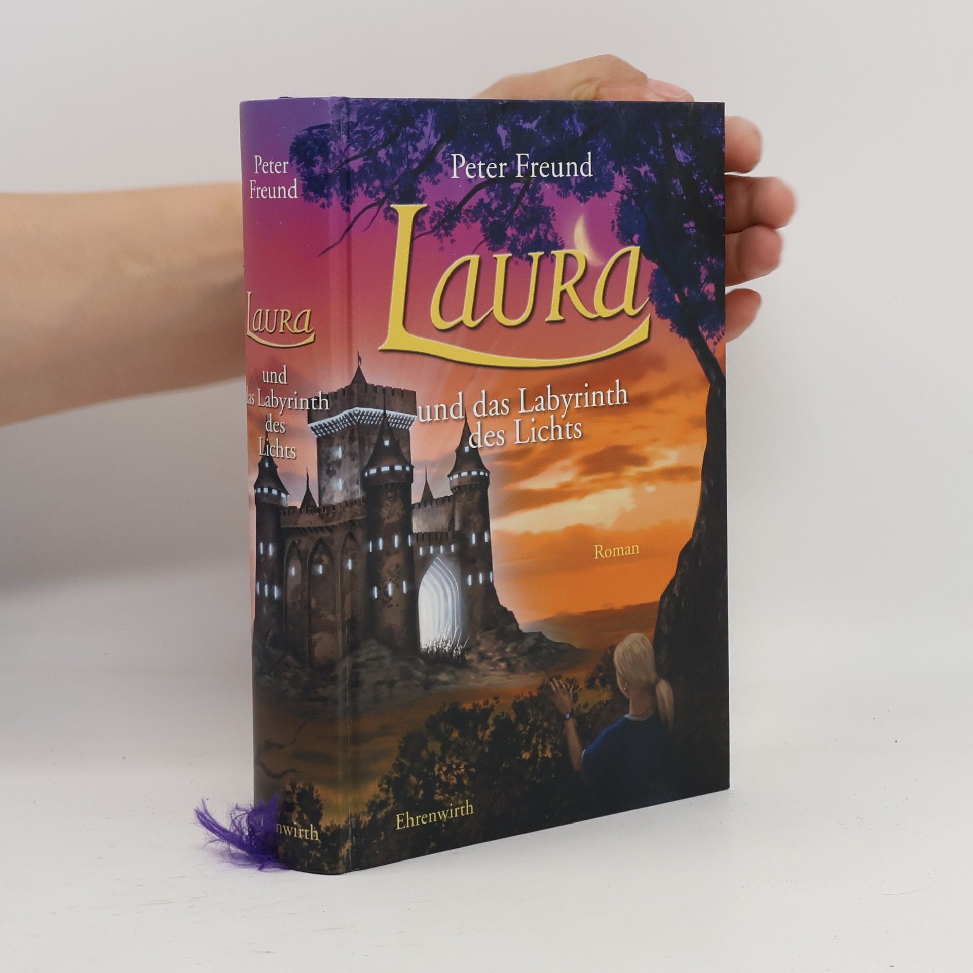 Peter Freund Laura und das Labyrinth des Lichts