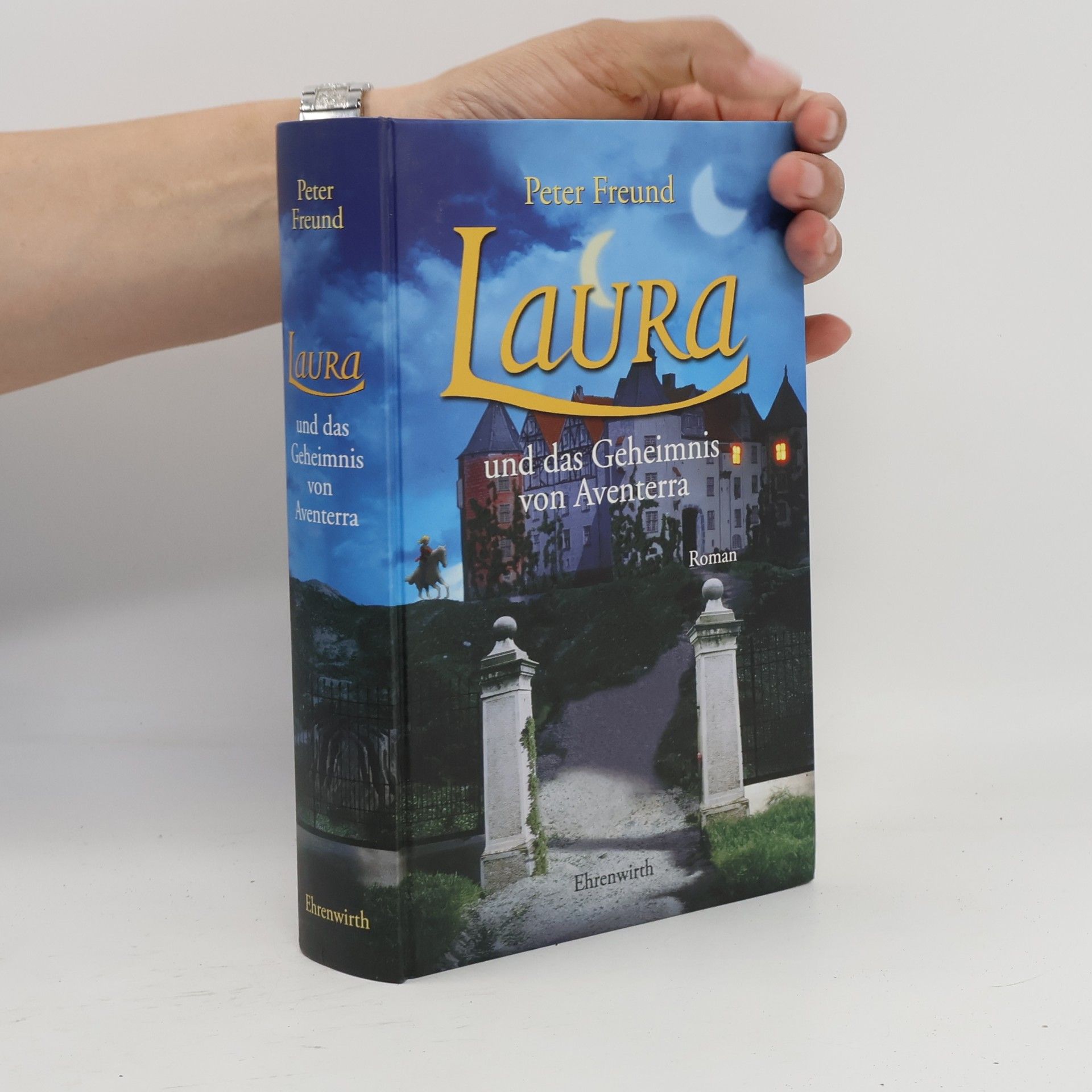 Laura und das Geheimnis von Aventerra