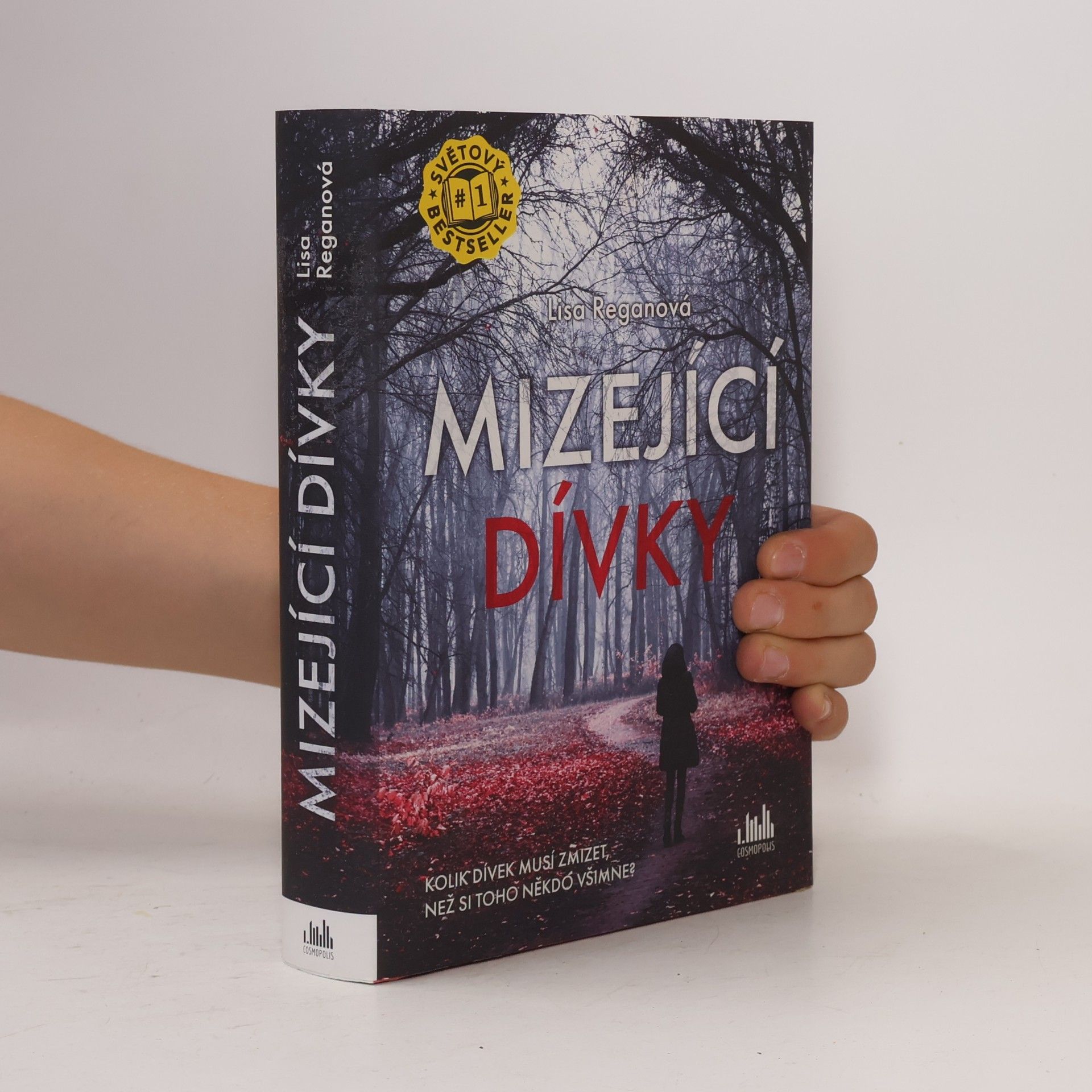 Mizející dívky