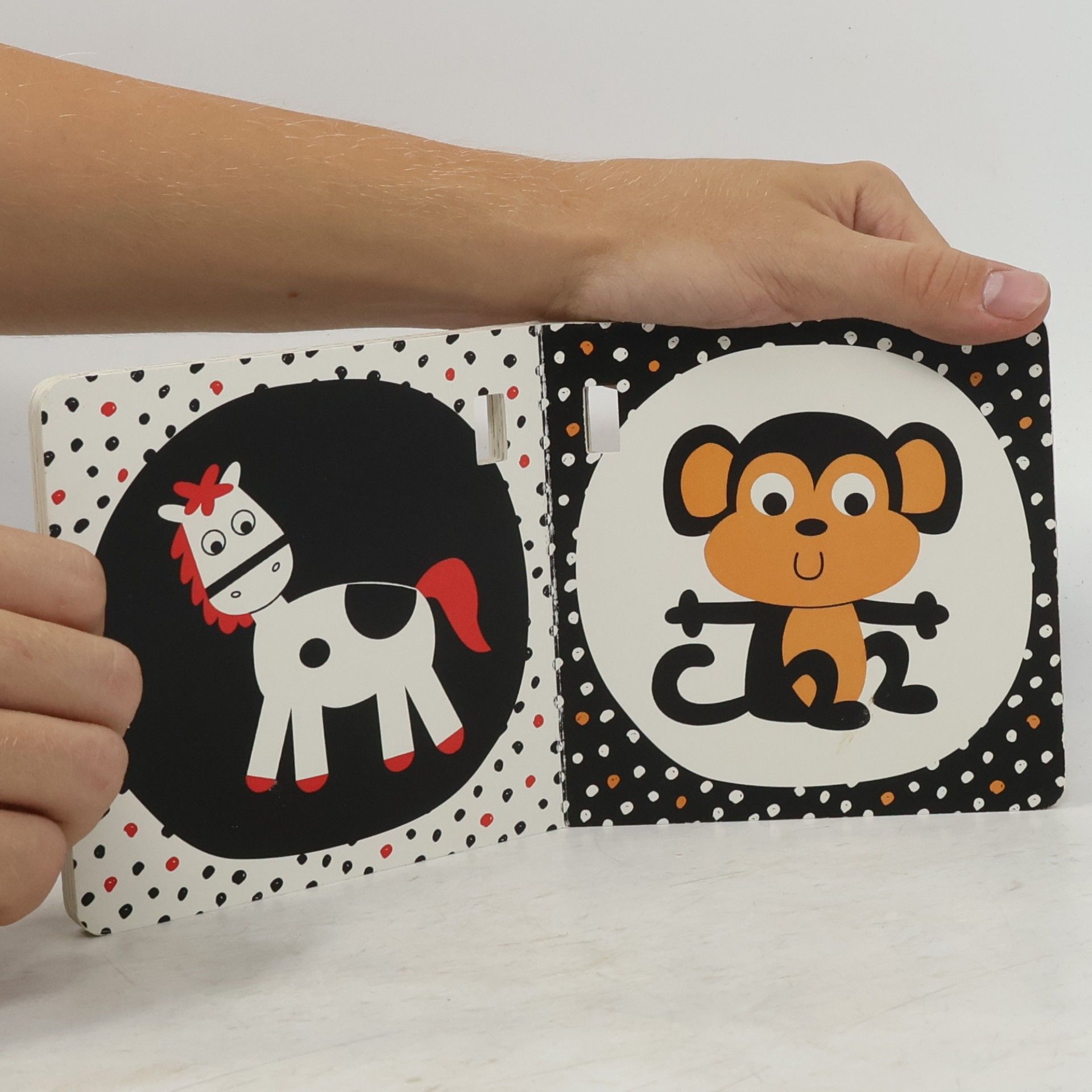 Auteurscollectief Buggybuch Tiere