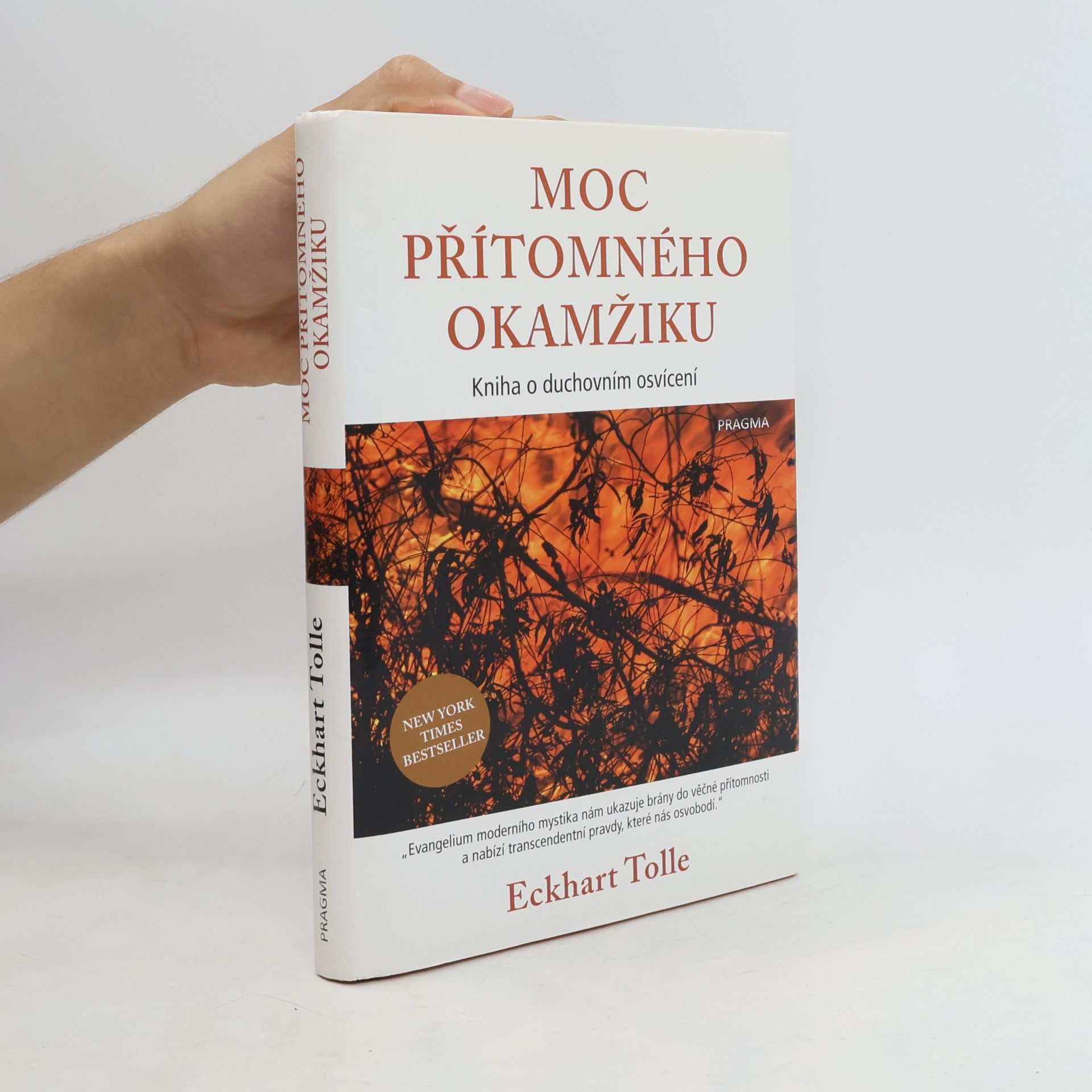 Eckhart Tolle Moc přítomného okamžiku