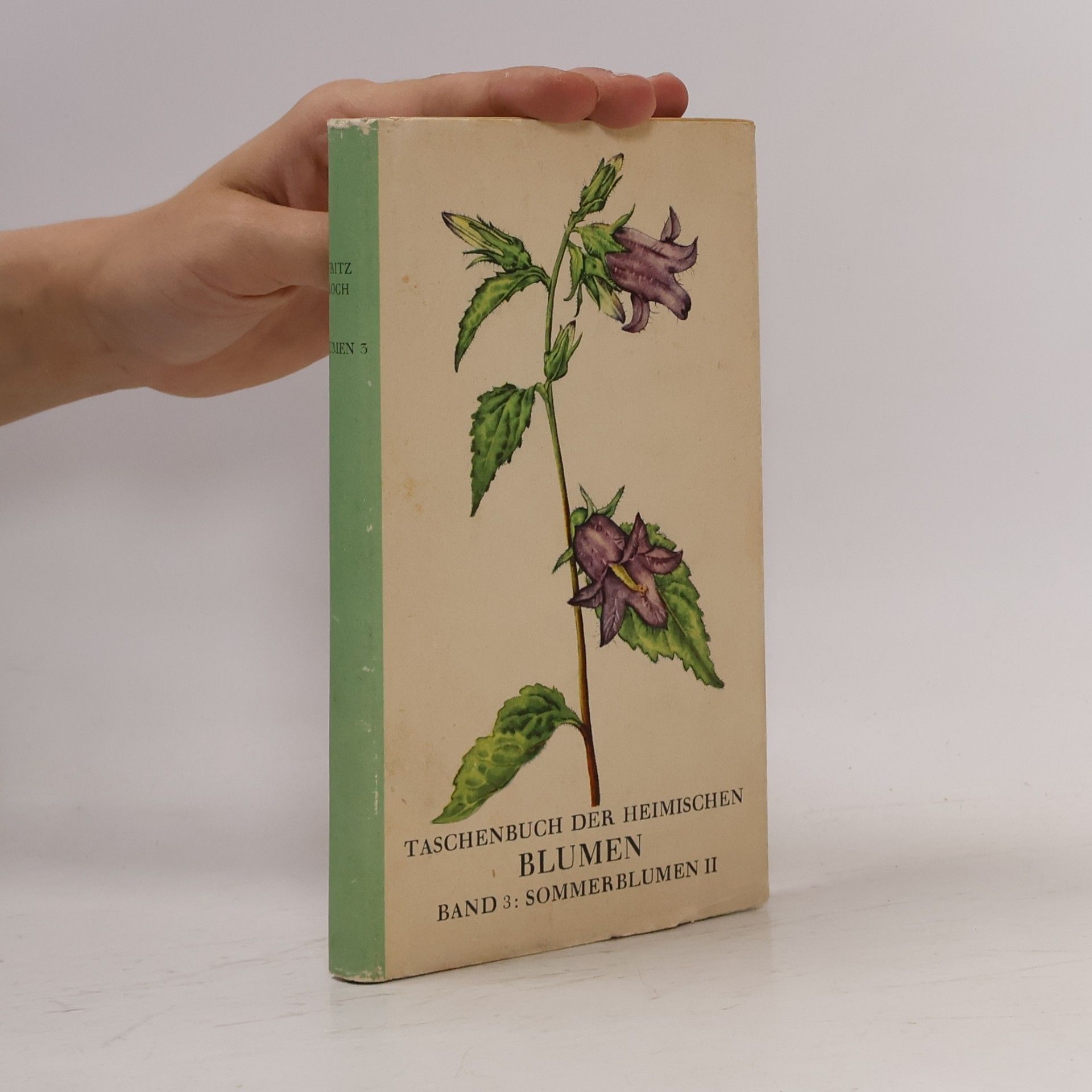 Otto Knöpfer Taschenbuch der heimischen Blumen. Band 3. Sommerblumen. II