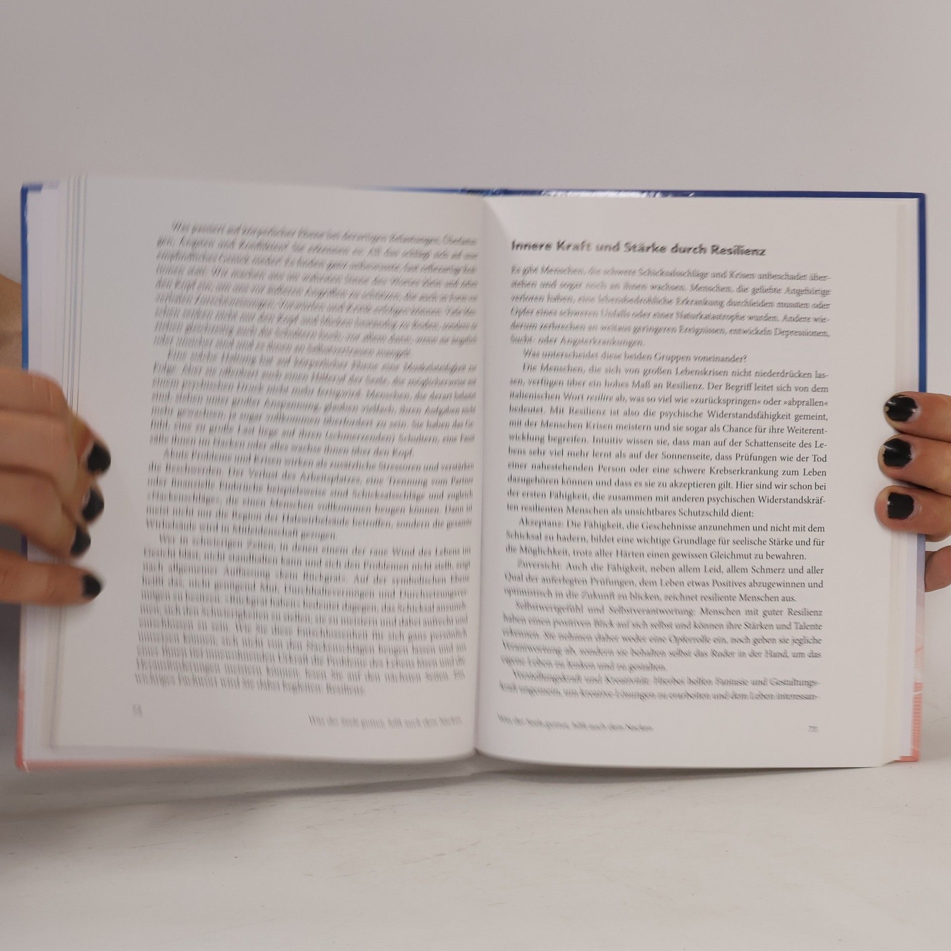 Heike Bueß-Kovács Praxisbuch: Das empfindliche Genick