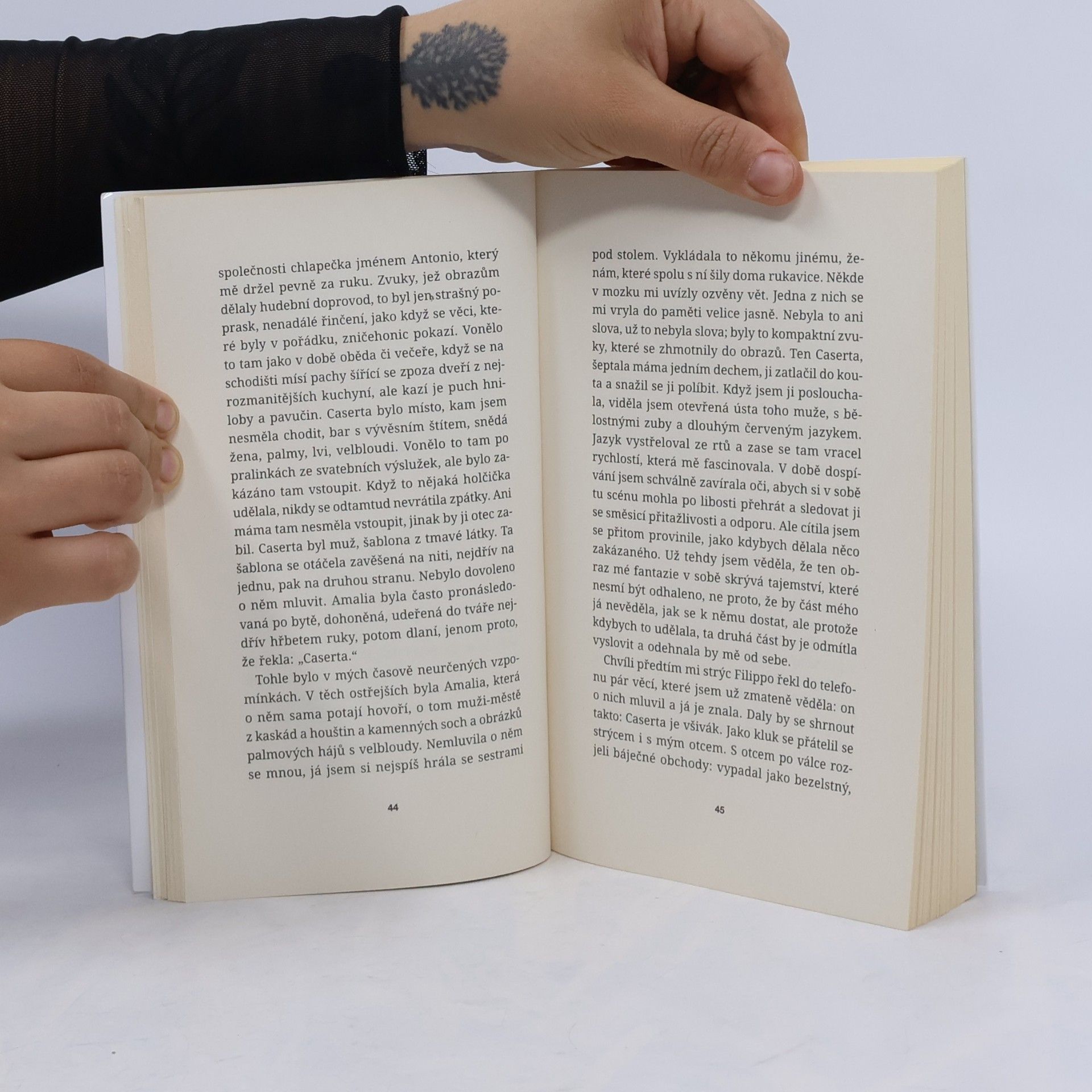Elena Ferrante Tíživá láska