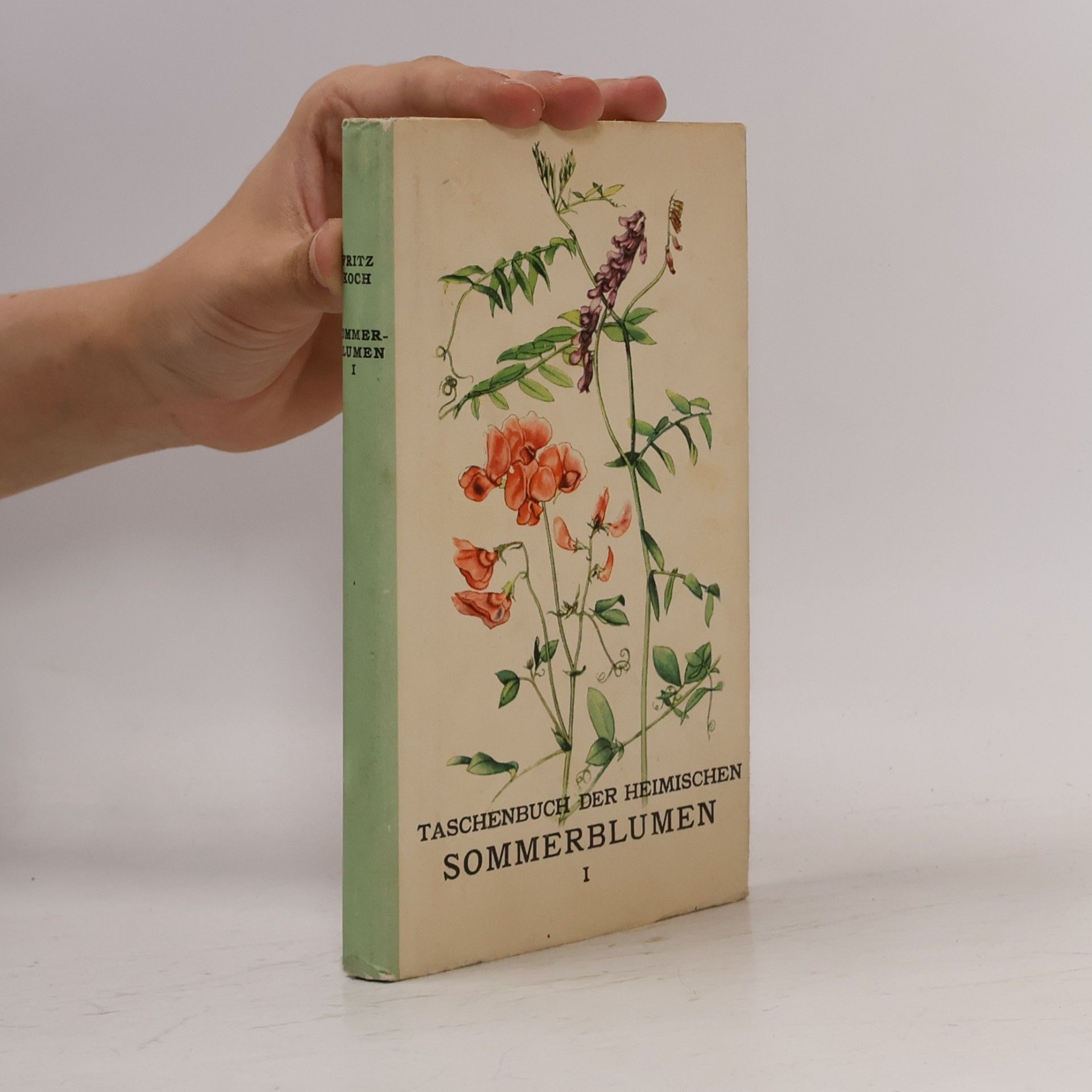 Fritz Koch Taschenbuch der heimischen Sommerblumen I