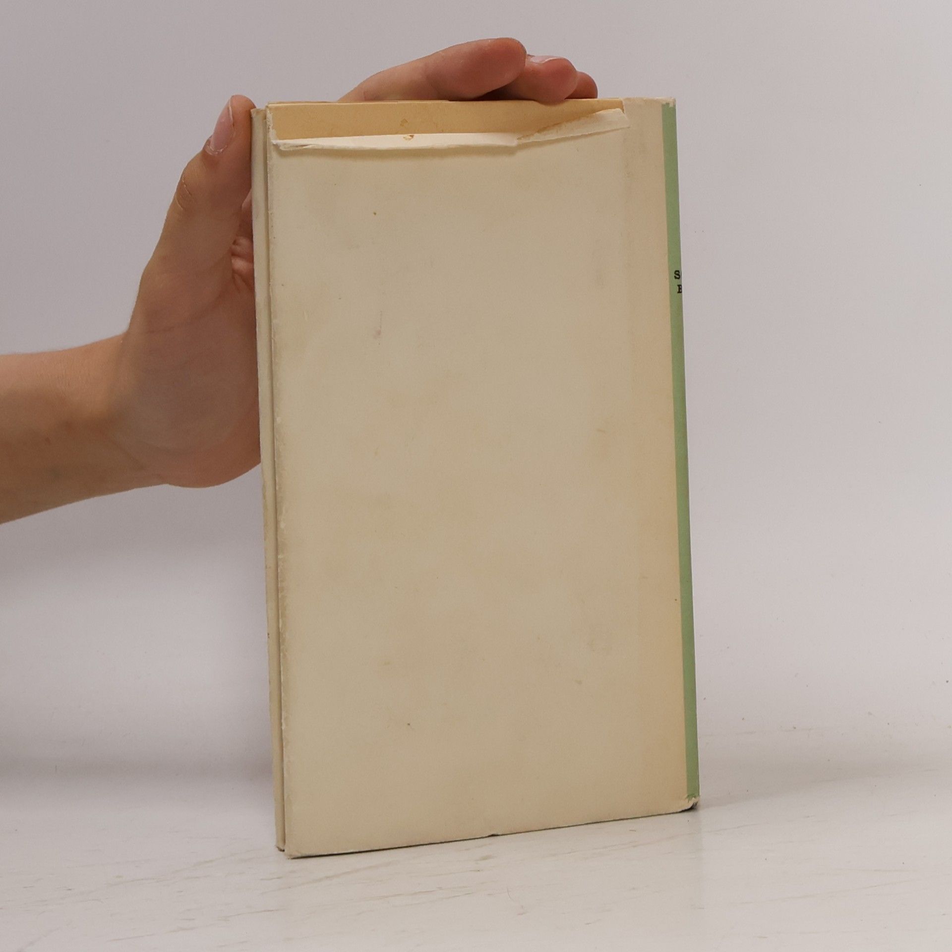 Fritz Koch Taschenbuch der heimischen Sommerblumen I