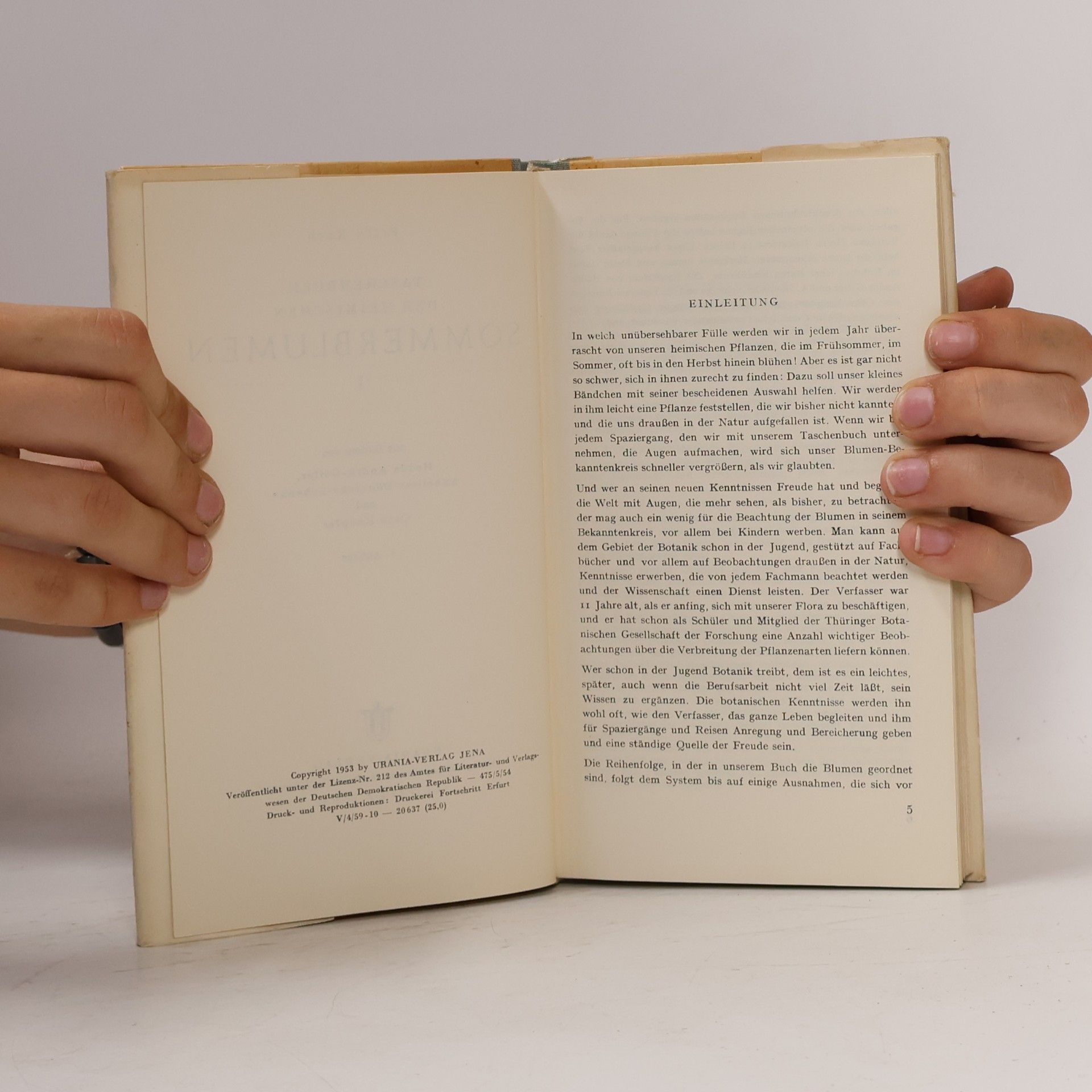 Fritz Koch Taschenbuch der heimischen Sommerblumen I