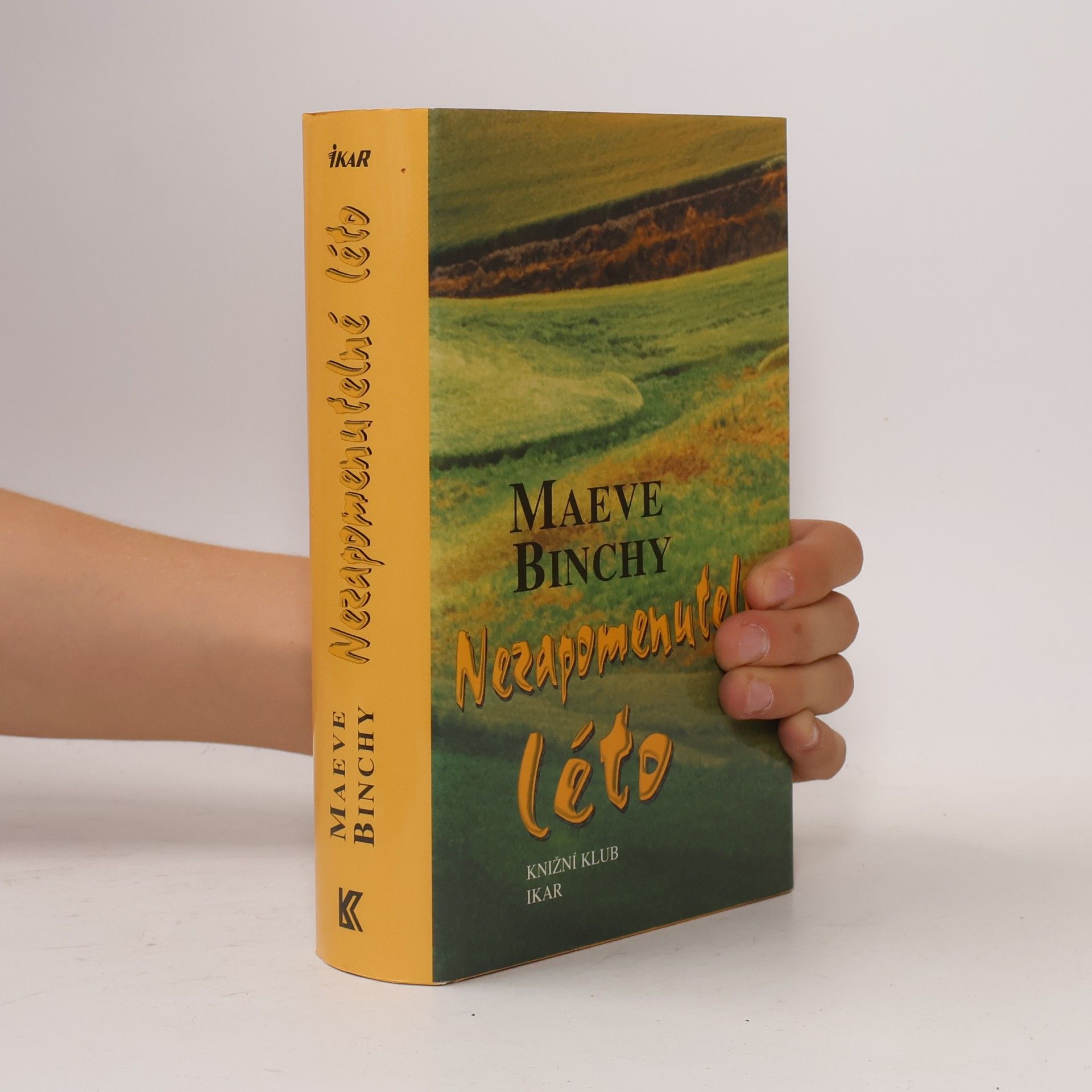 Maeve Binchy Nezapomenutelné léto