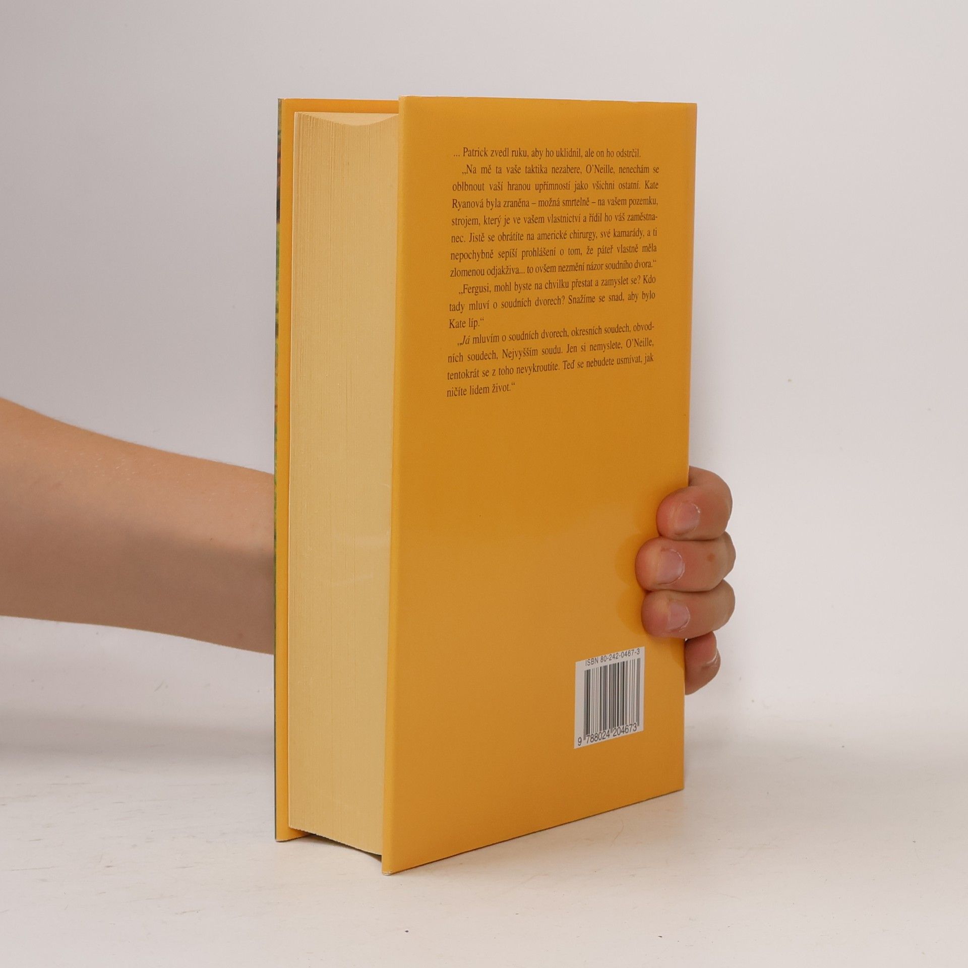 Maeve Binchy Nezapomenutelné léto