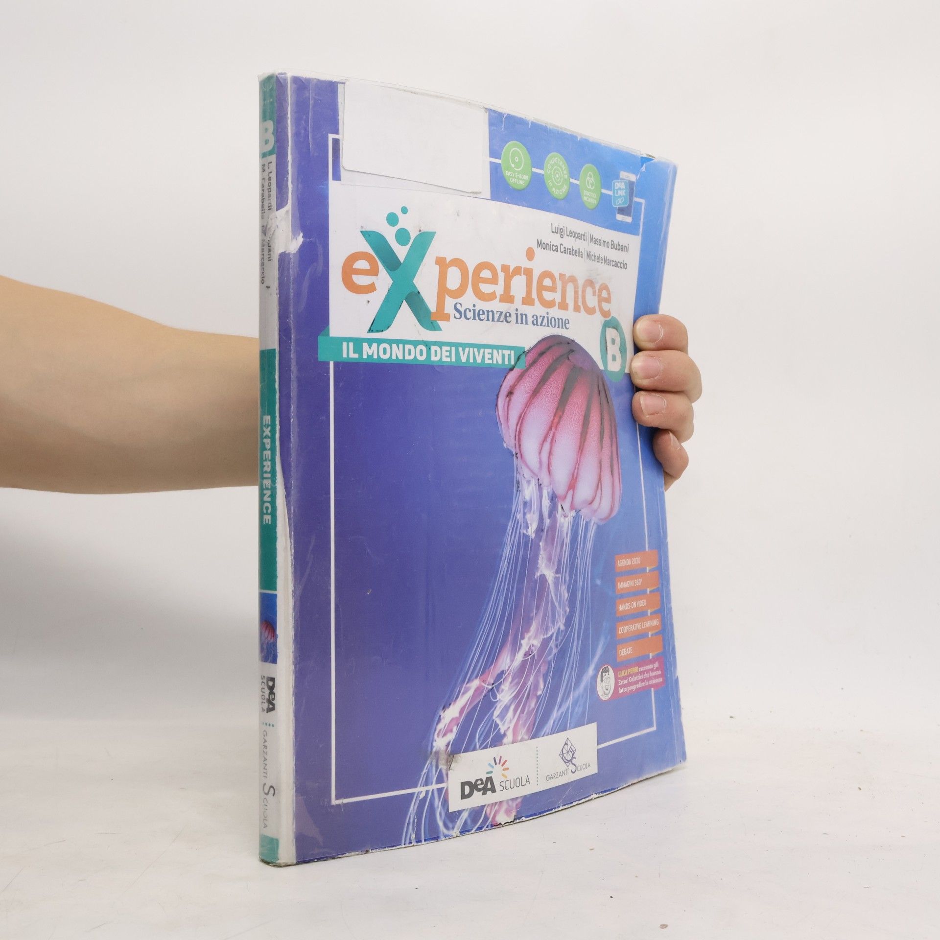 Experience. Scienze in azione B