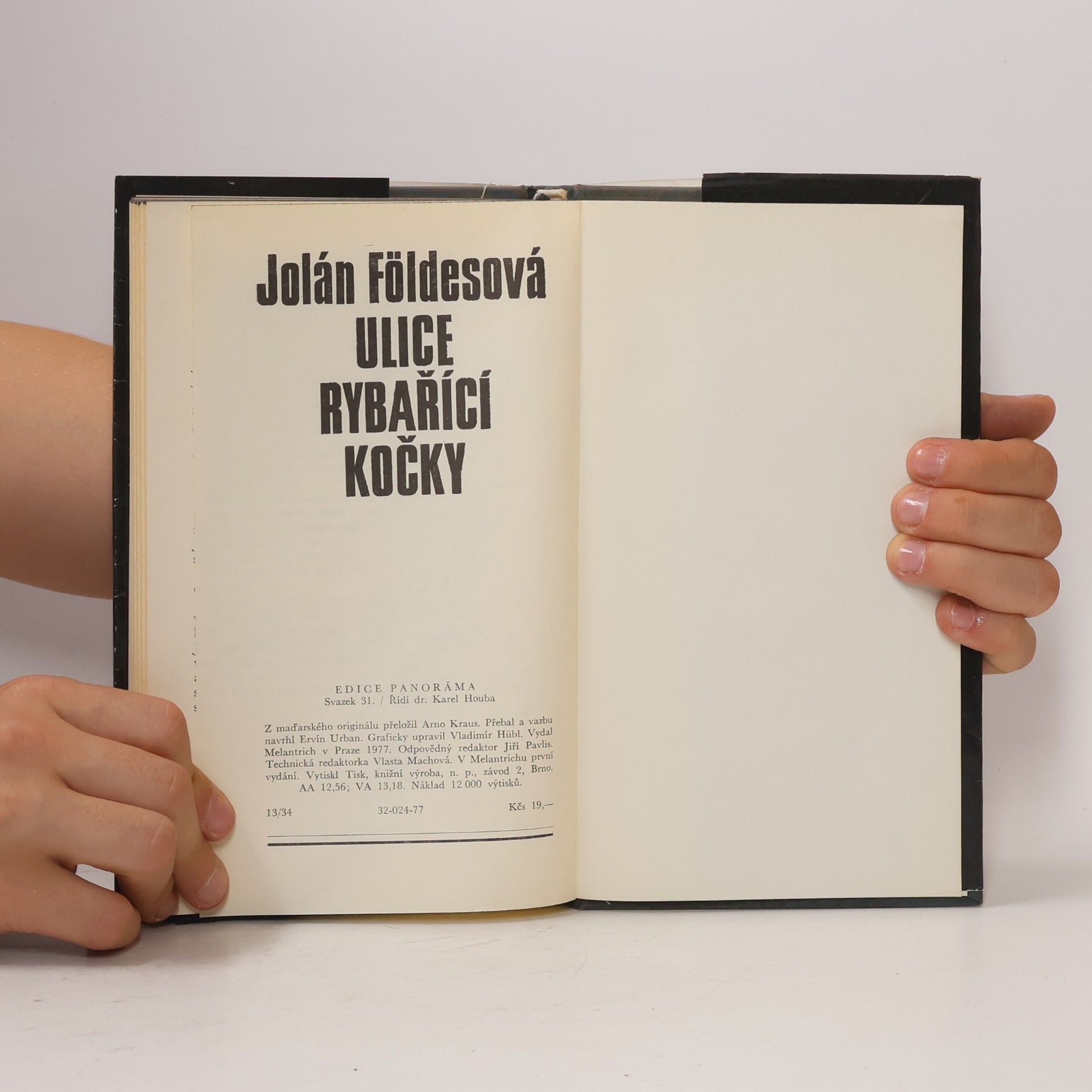 Jolán Földes Ulice rybařící kočky