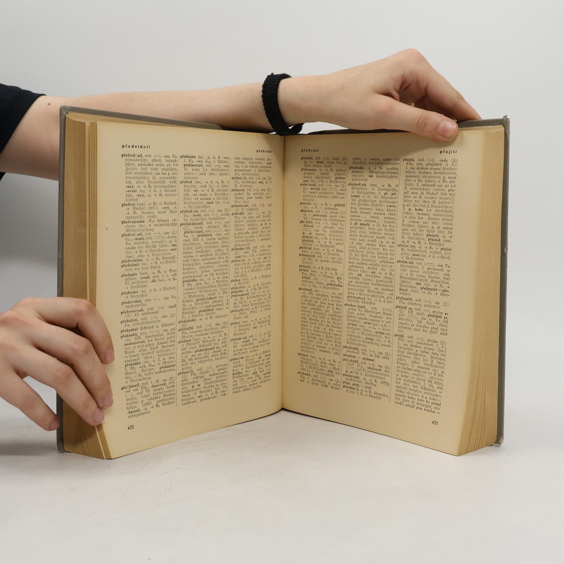 V. Hulík Tschechisch-deutsches Wörterbuch der Umgangssprache. Česko-německý slovník živé mluvy