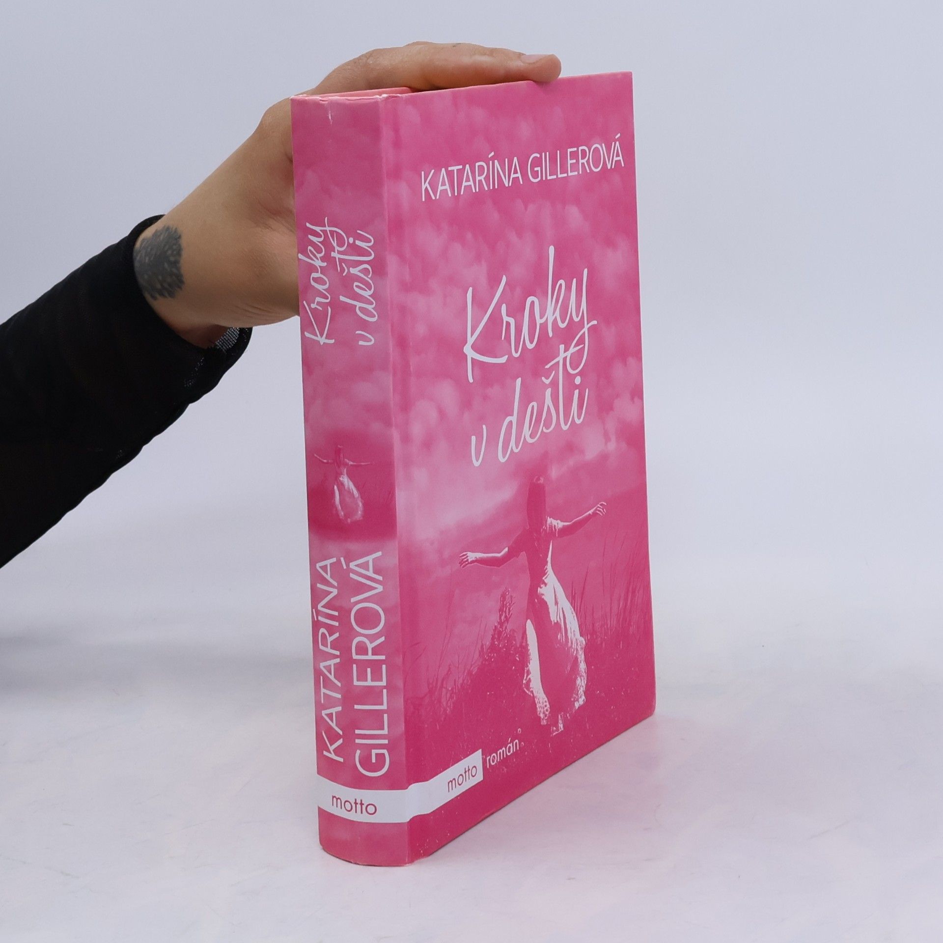 Katarína Gillerová Kroky v dešti