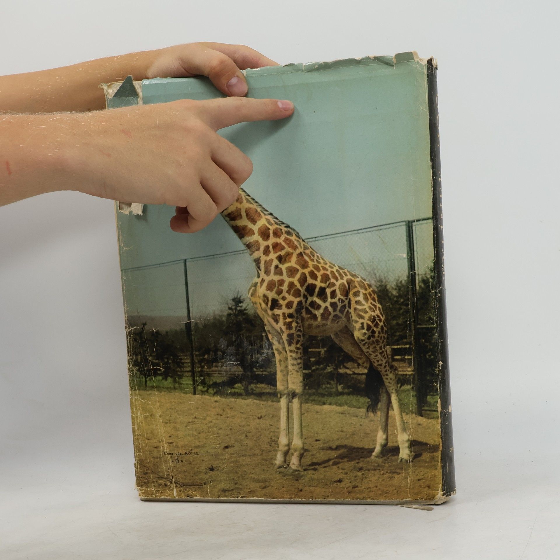 Erich Tylínek Zoo