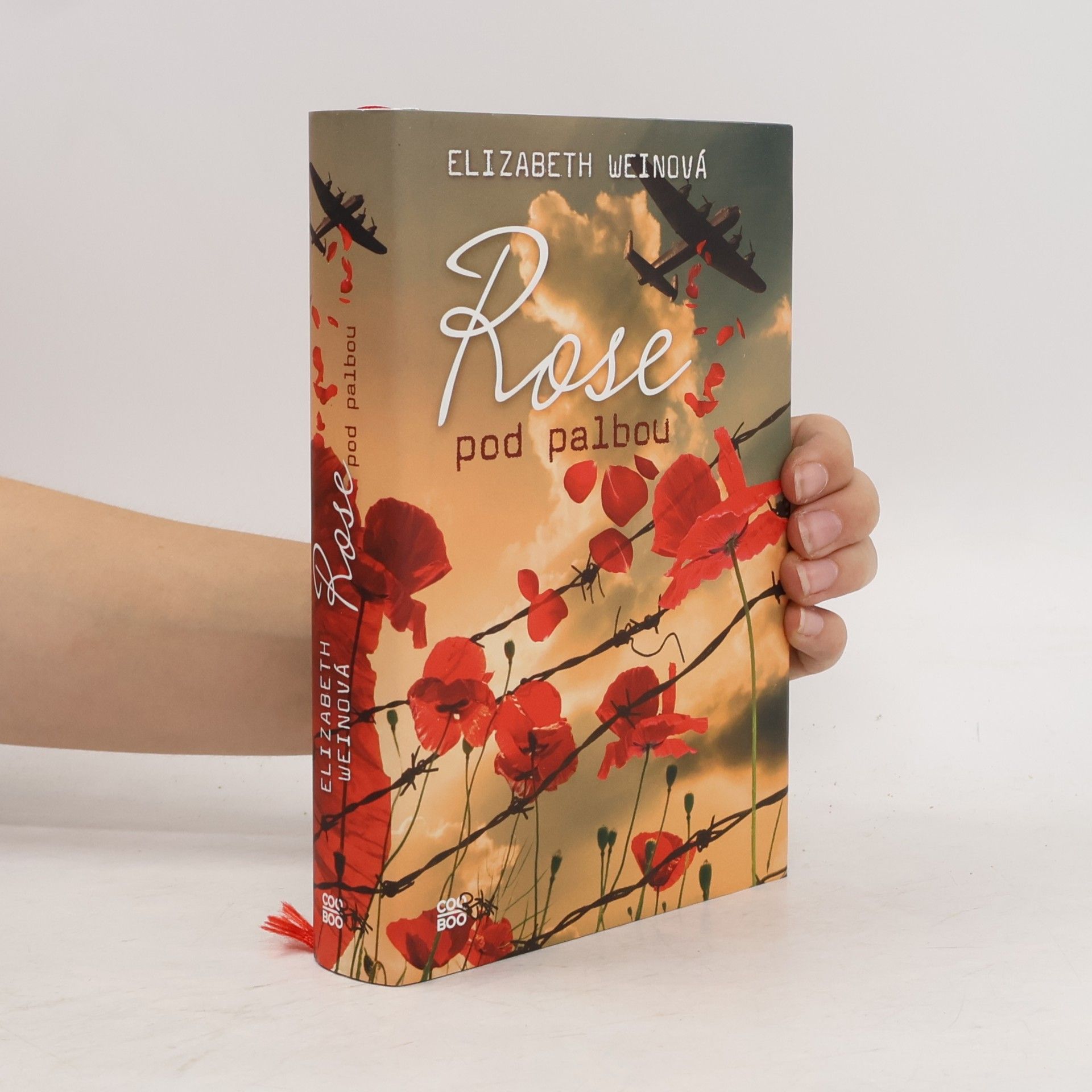 Elizabeth Wein Rose pod palbou