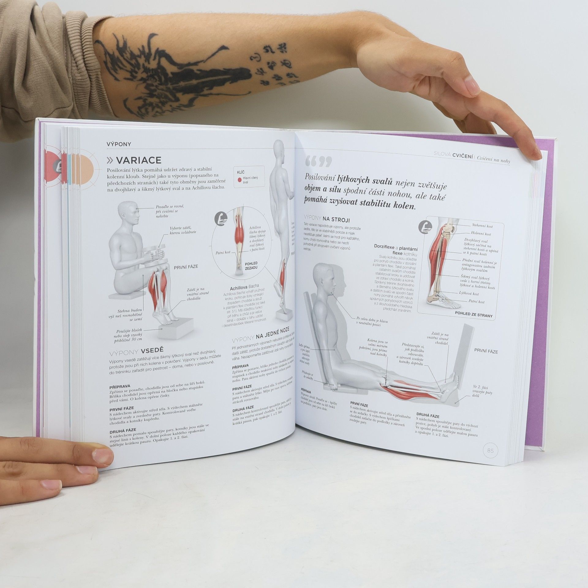 Austin Current Silový trénink z pohledu anatomie : pochopte fungování těla pro lepší a účinnější cvičení