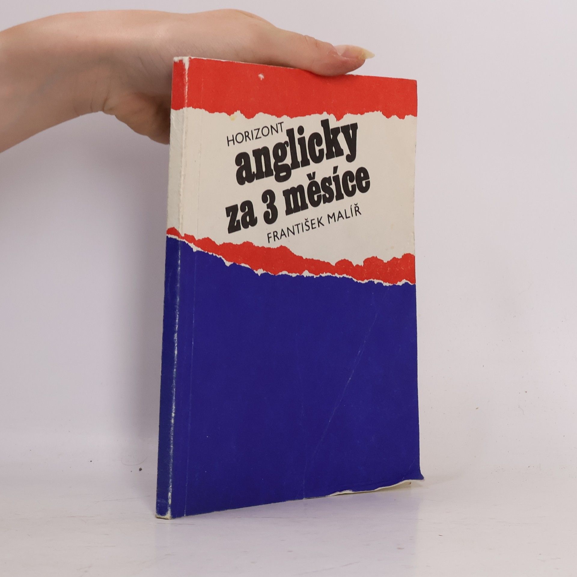 František Malíř Anglicky za 3 měsíce