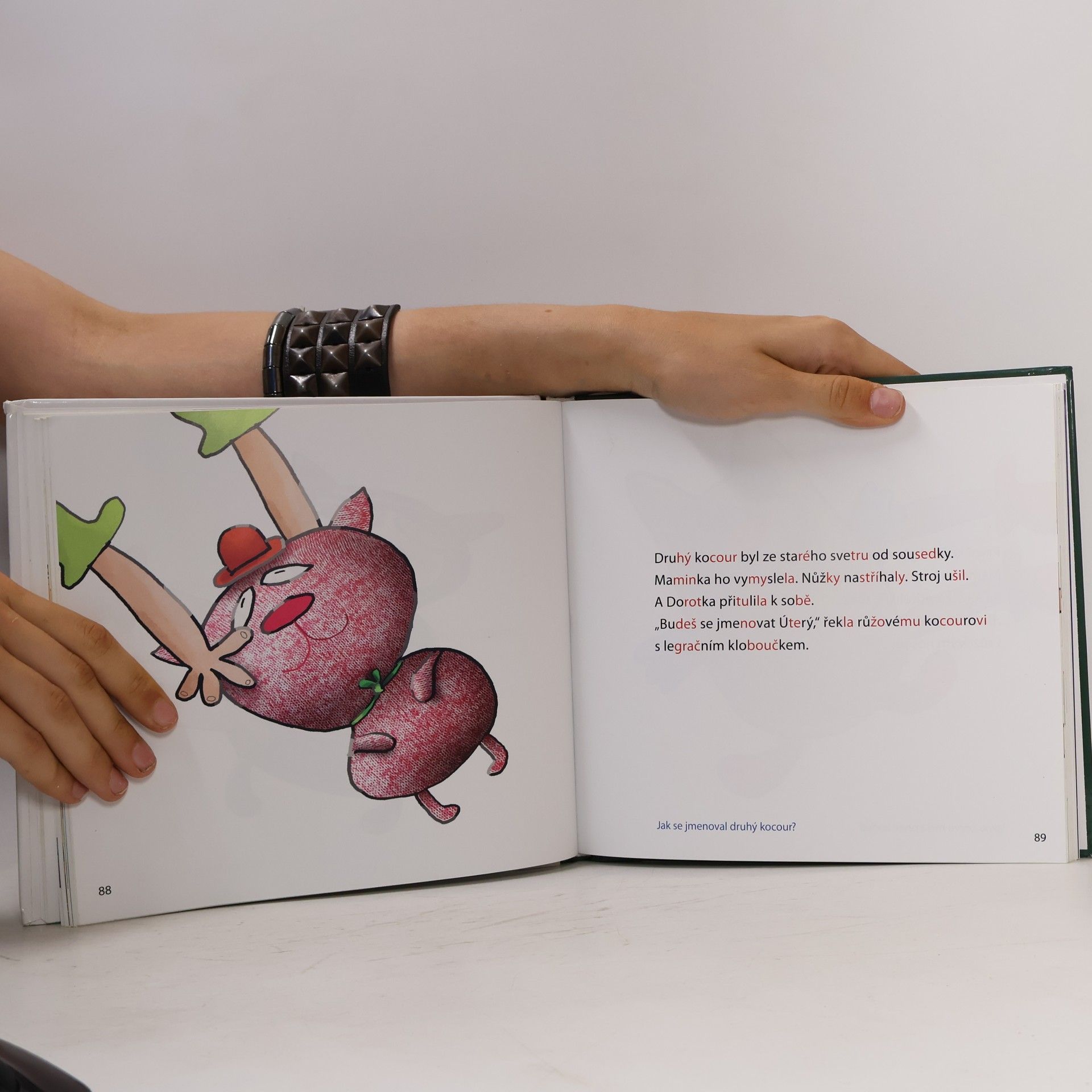 Joanna Krzyżanek Dorotka a sedm koček : pozorné čtení (po slabikách)