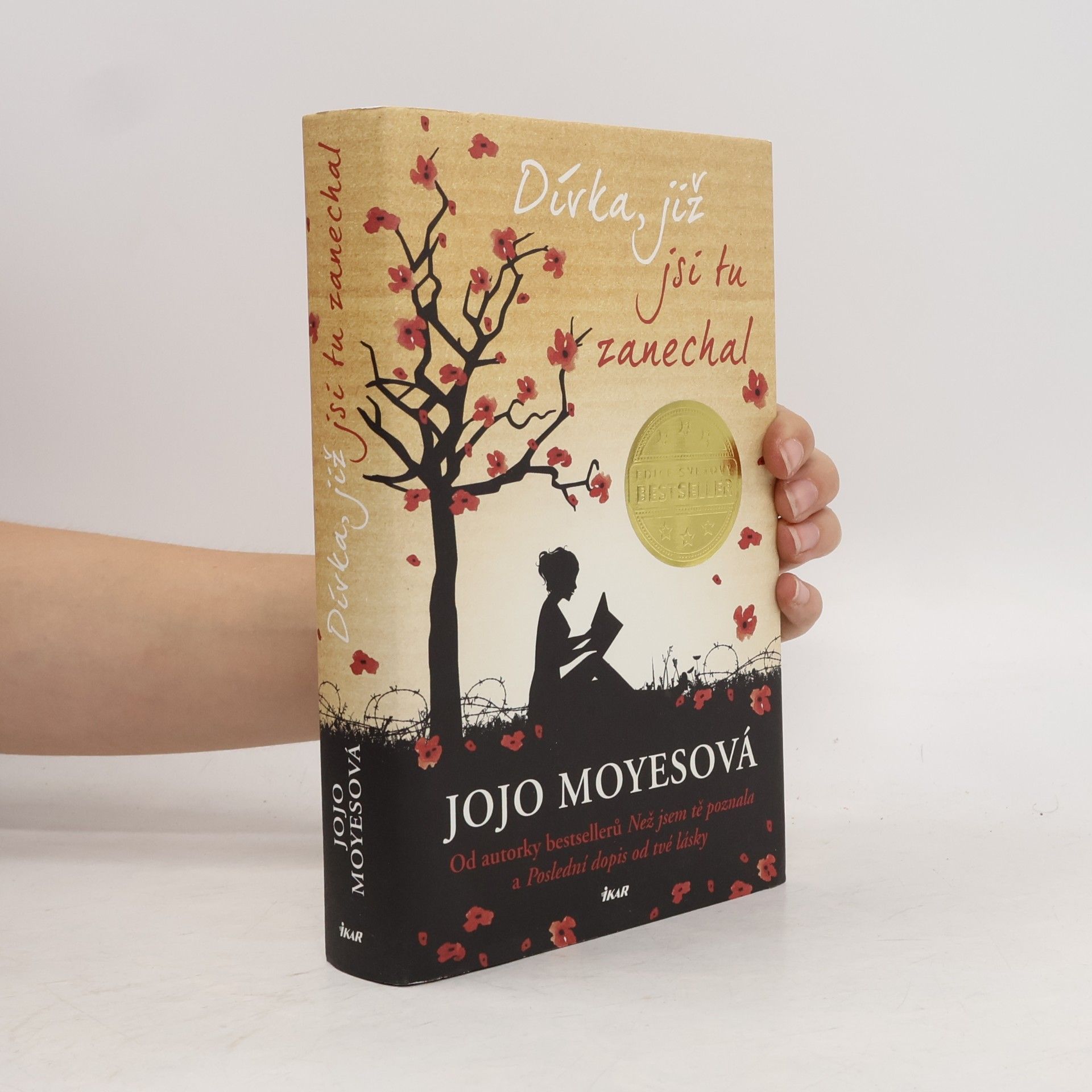 Jojo Moyes Dívka, již jsi tu zanechal