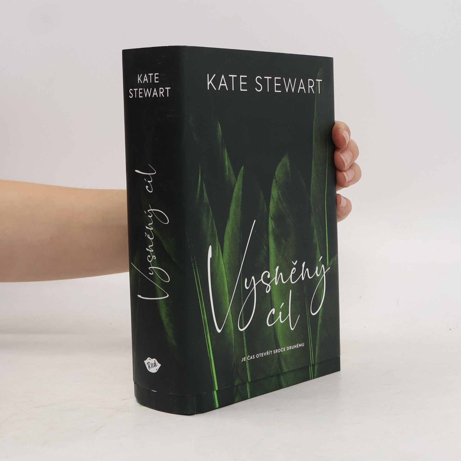Kate Stewart Vysněný cíl. Kniha třetí