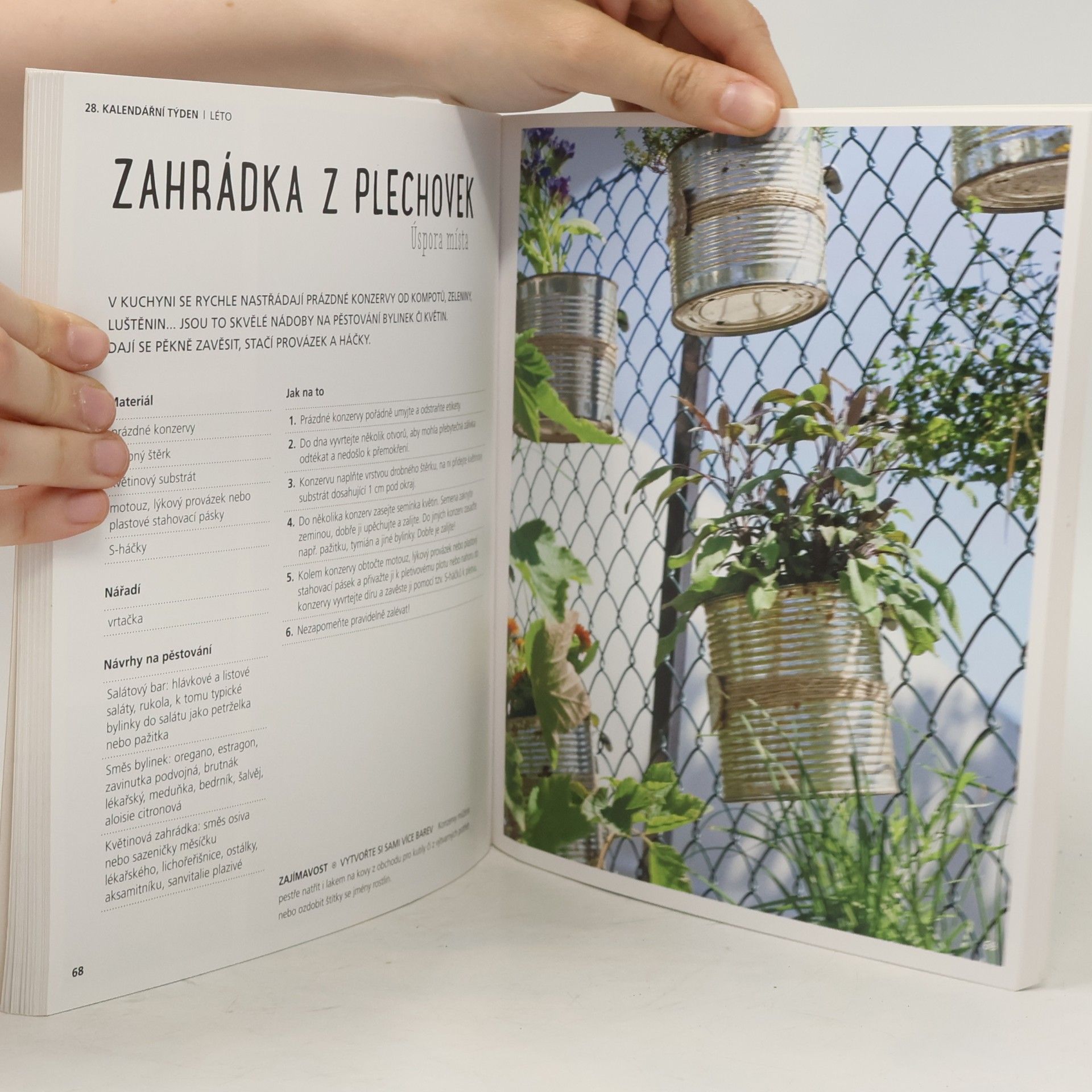 Bärbel Oftring 52 projektů na městskou zahradu. Každý týden žijte zeleněji!