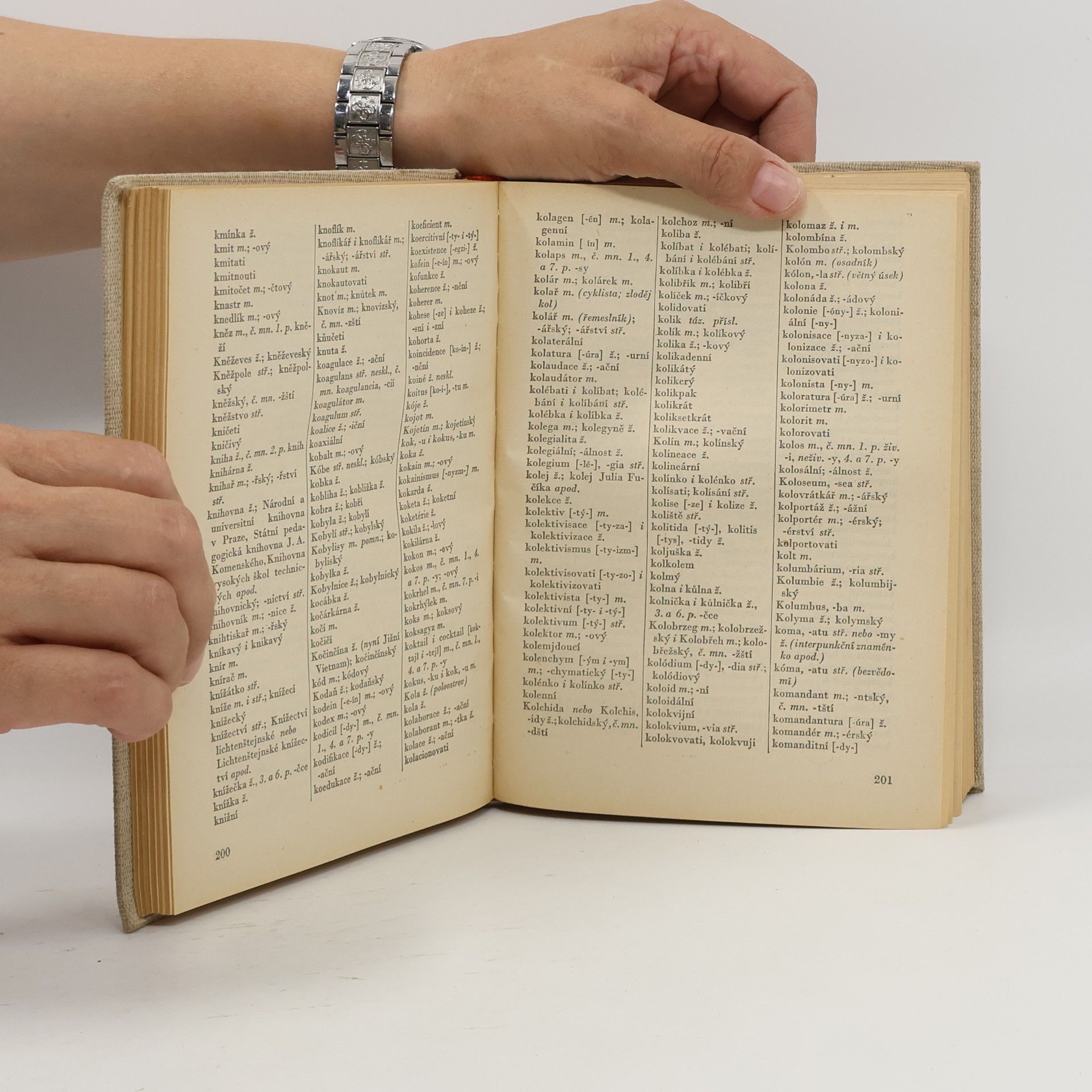 Autorenkollektiv Pravidla českého pravopisu