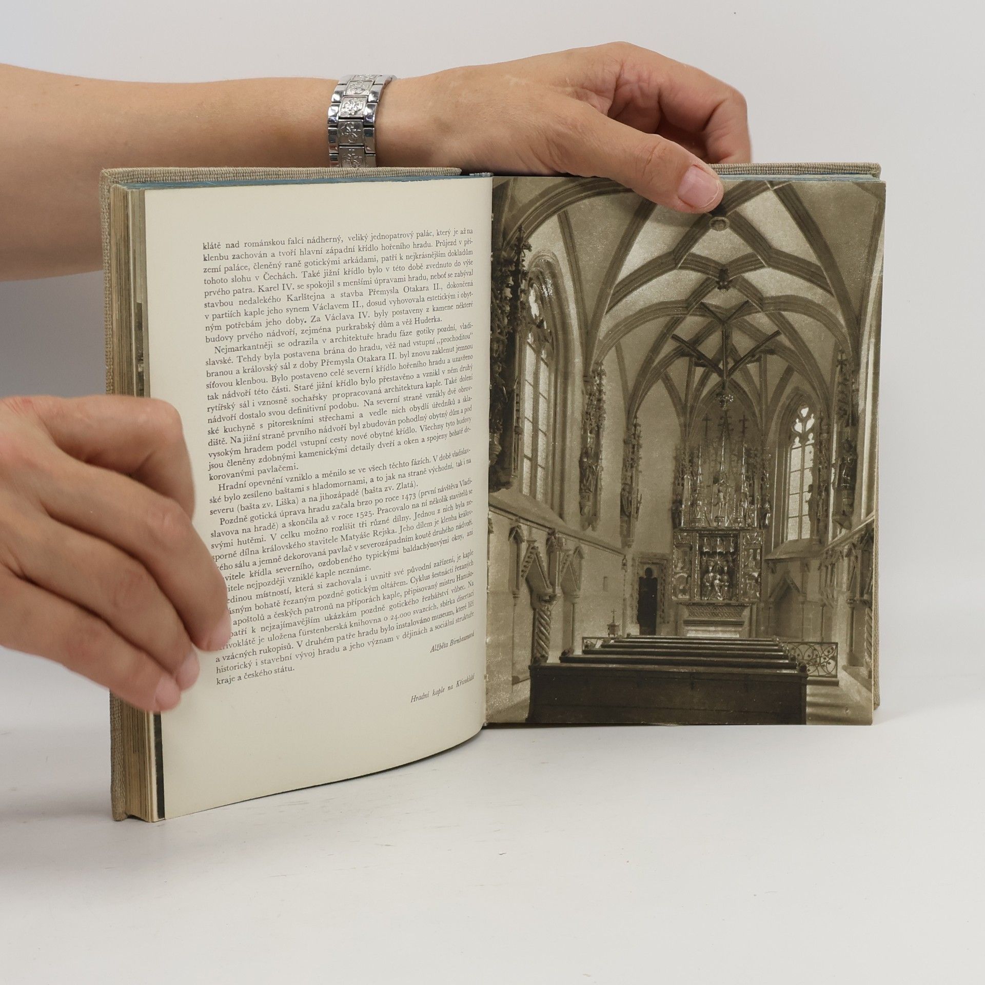 Jiří Hilmera Hrady a zámky. Sborník krátkých monografií o státních hradech a zámcích v Čechách a na Moravě.
