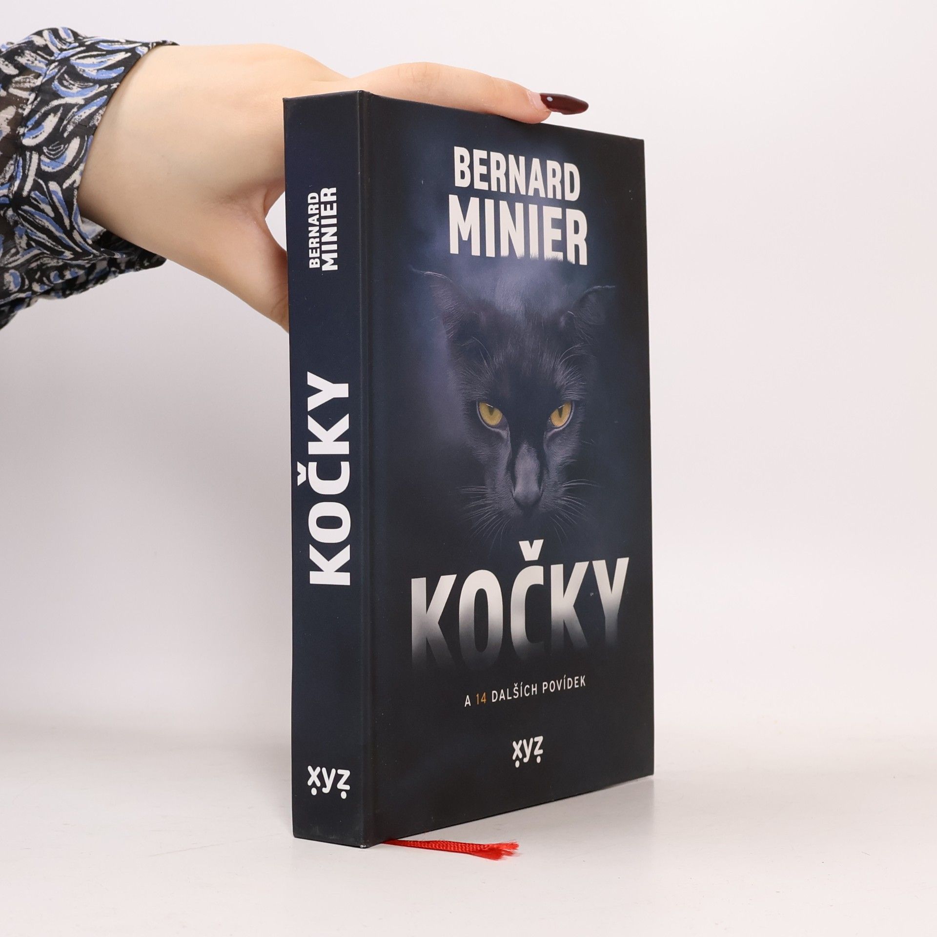 Kočky