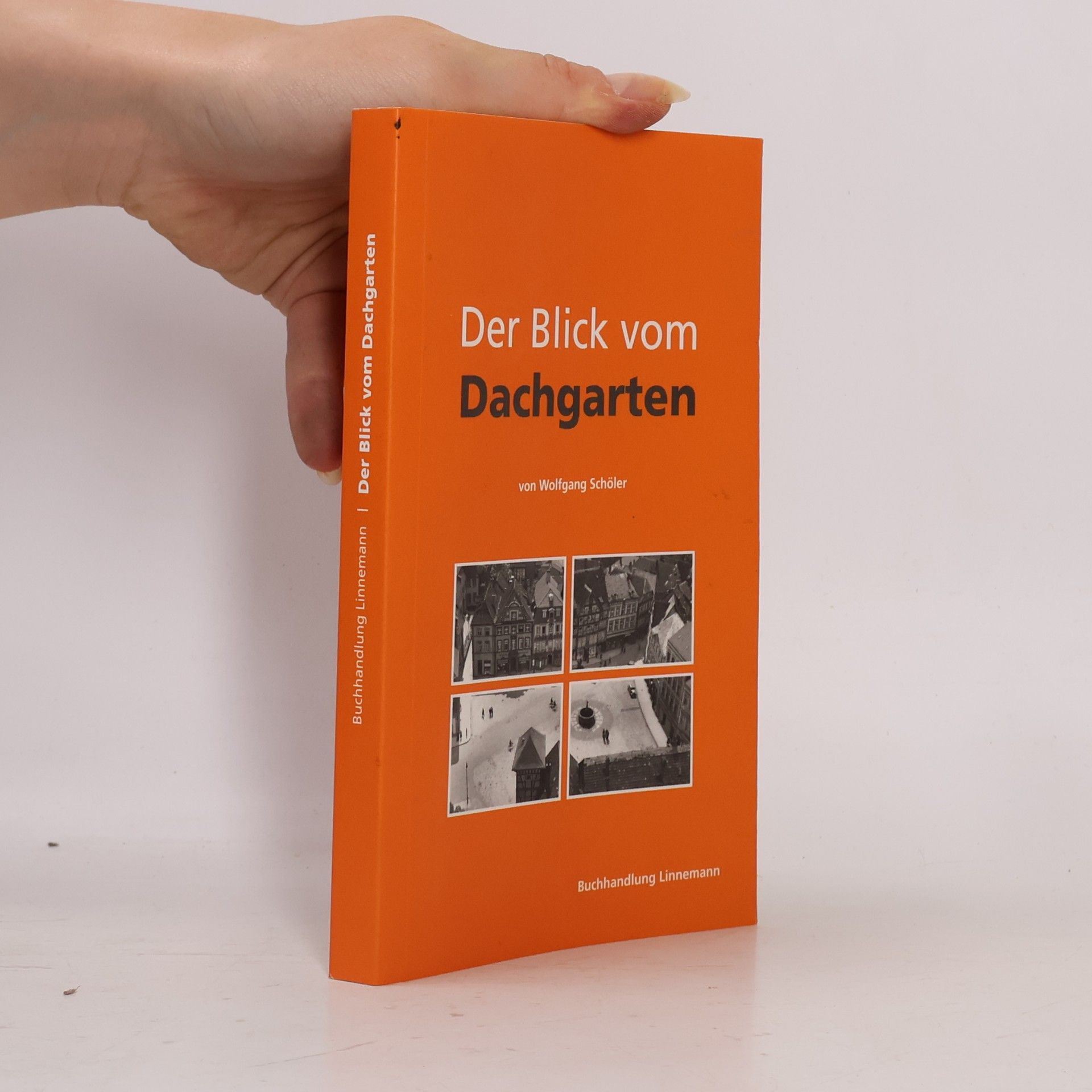 Wolfgang Schöler Der Blick vom Dachgarten