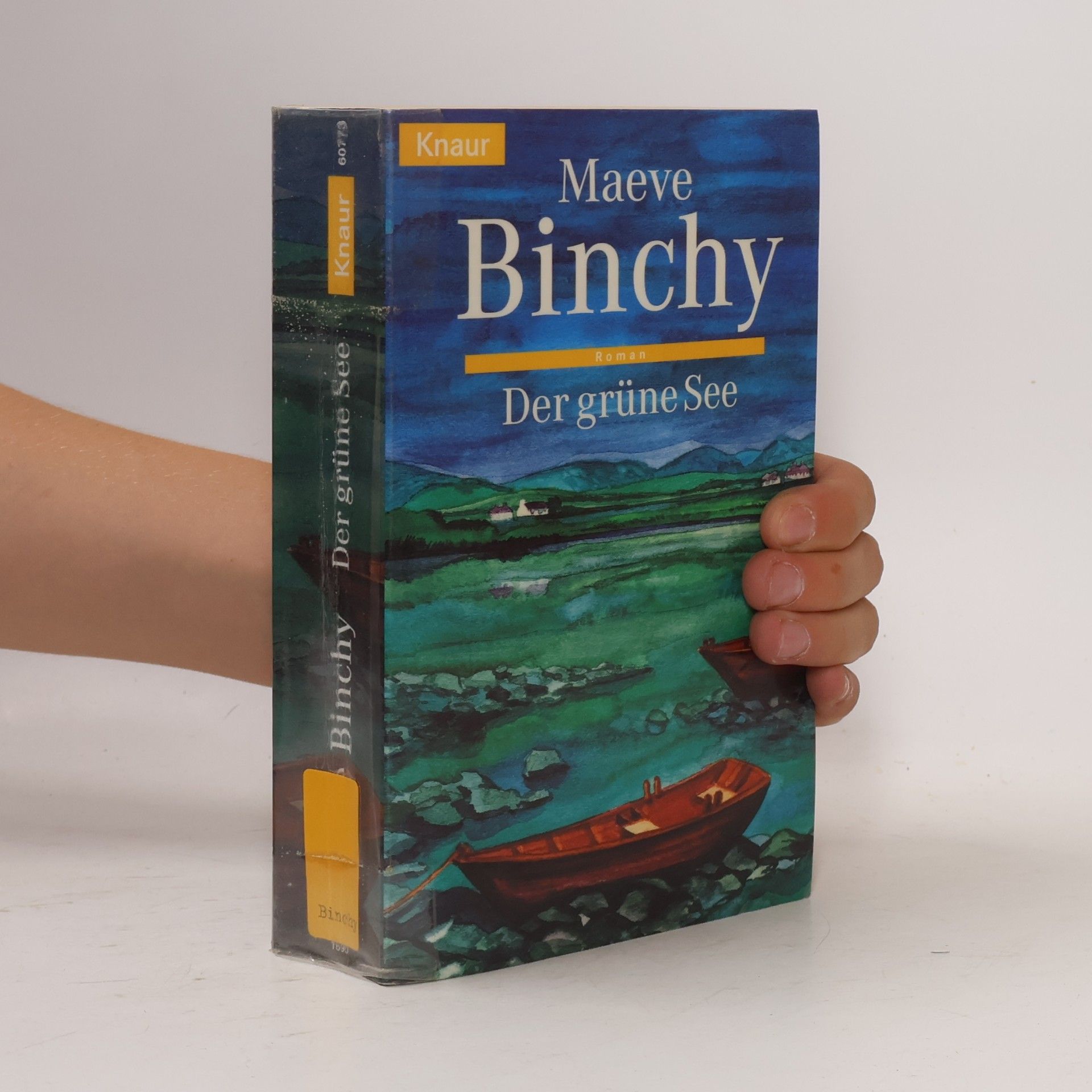 Maeve Binchy Der Grüne See