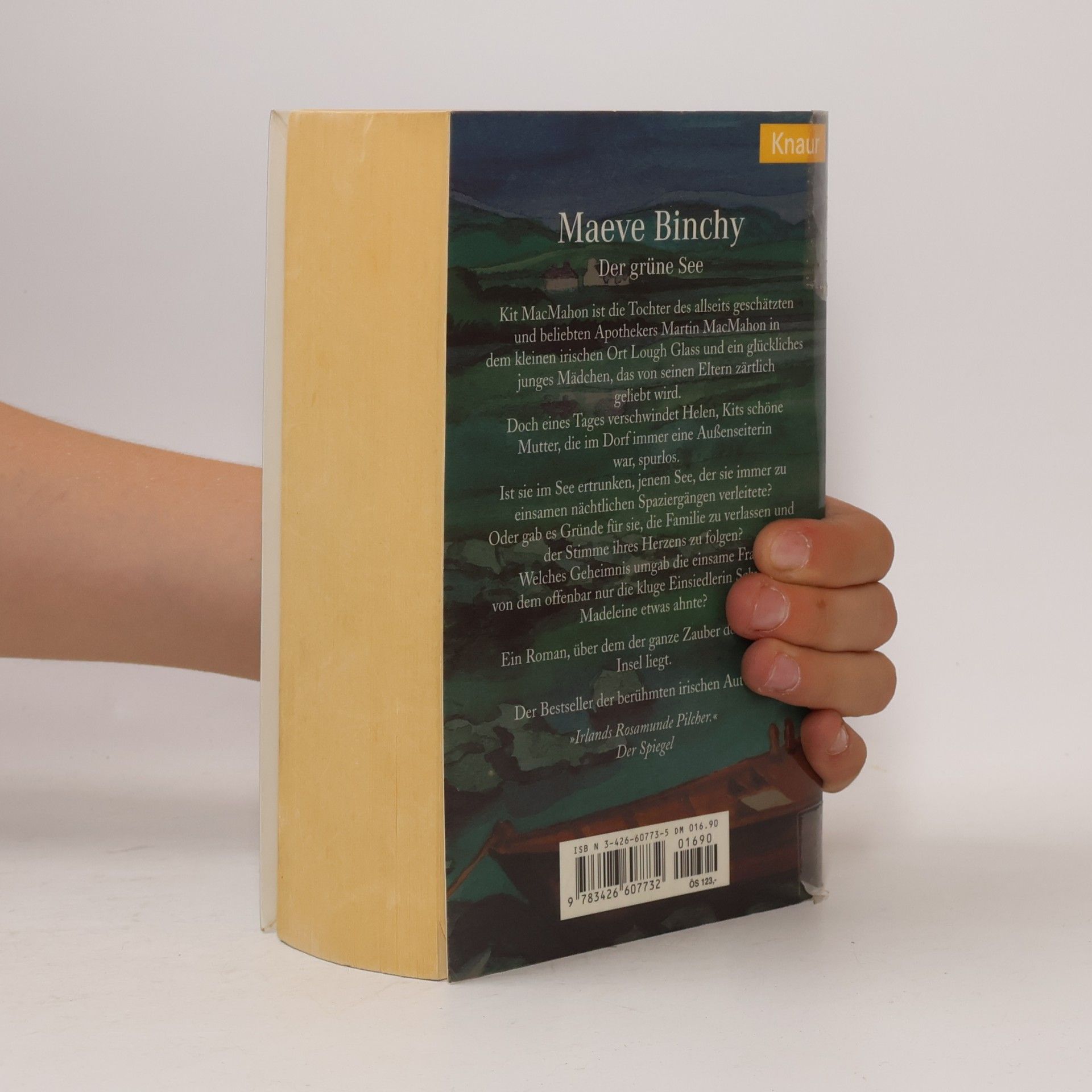 Maeve Binchy Der Grüne See