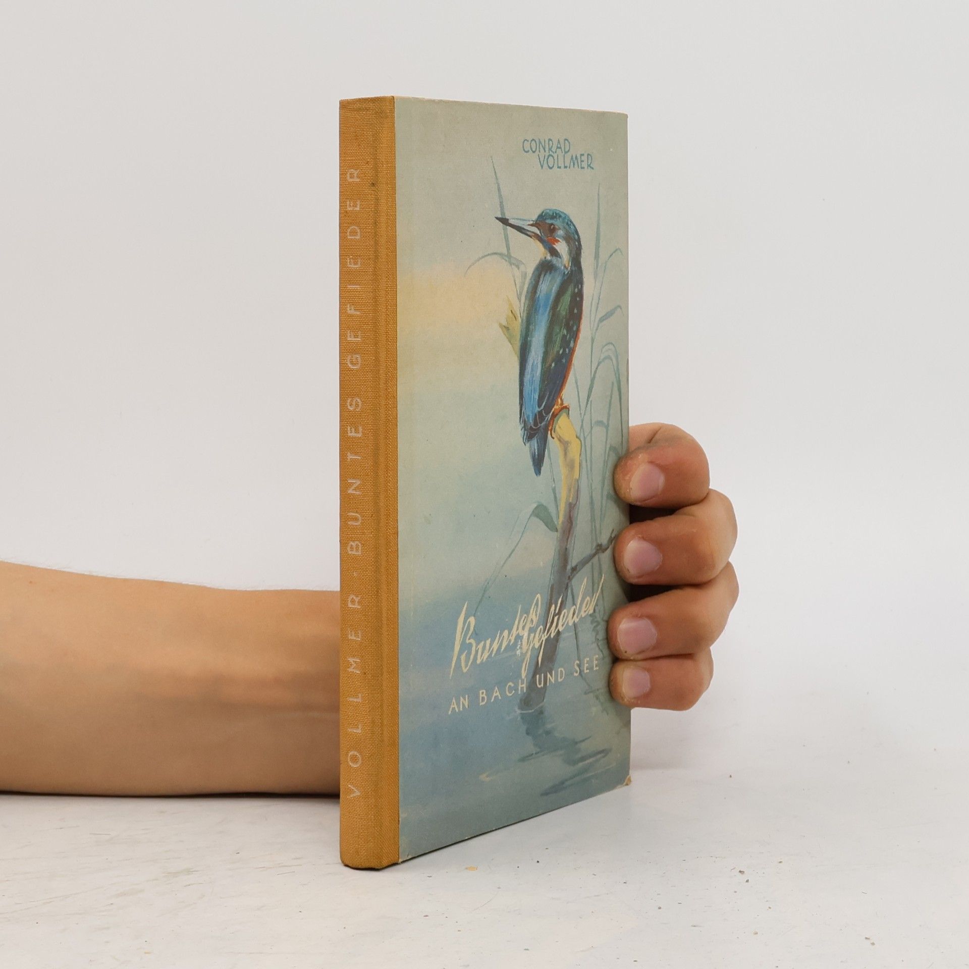Buntes Gefieders an Buch und See