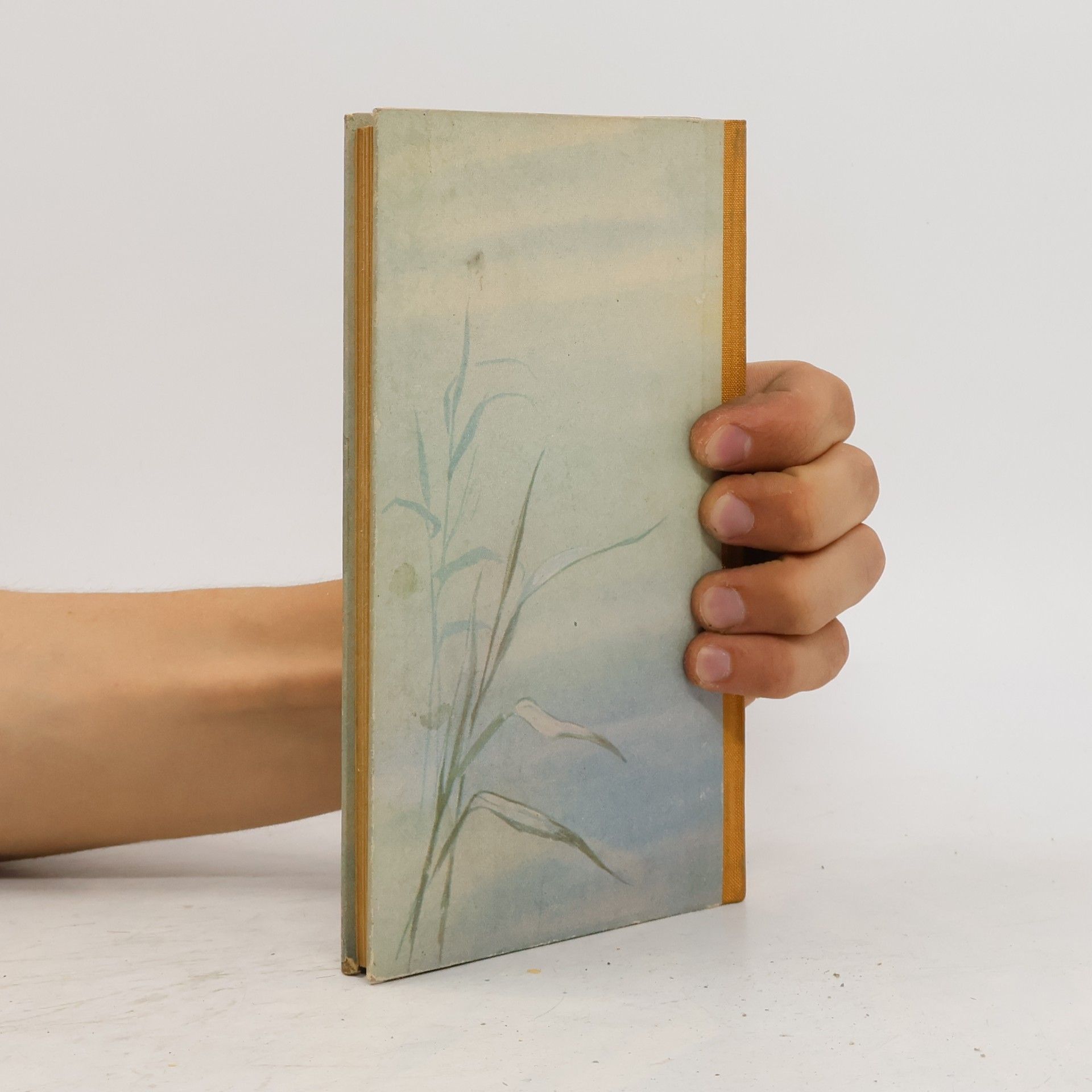 Conrad Vollmer Buntes Gefieders an Buch und See