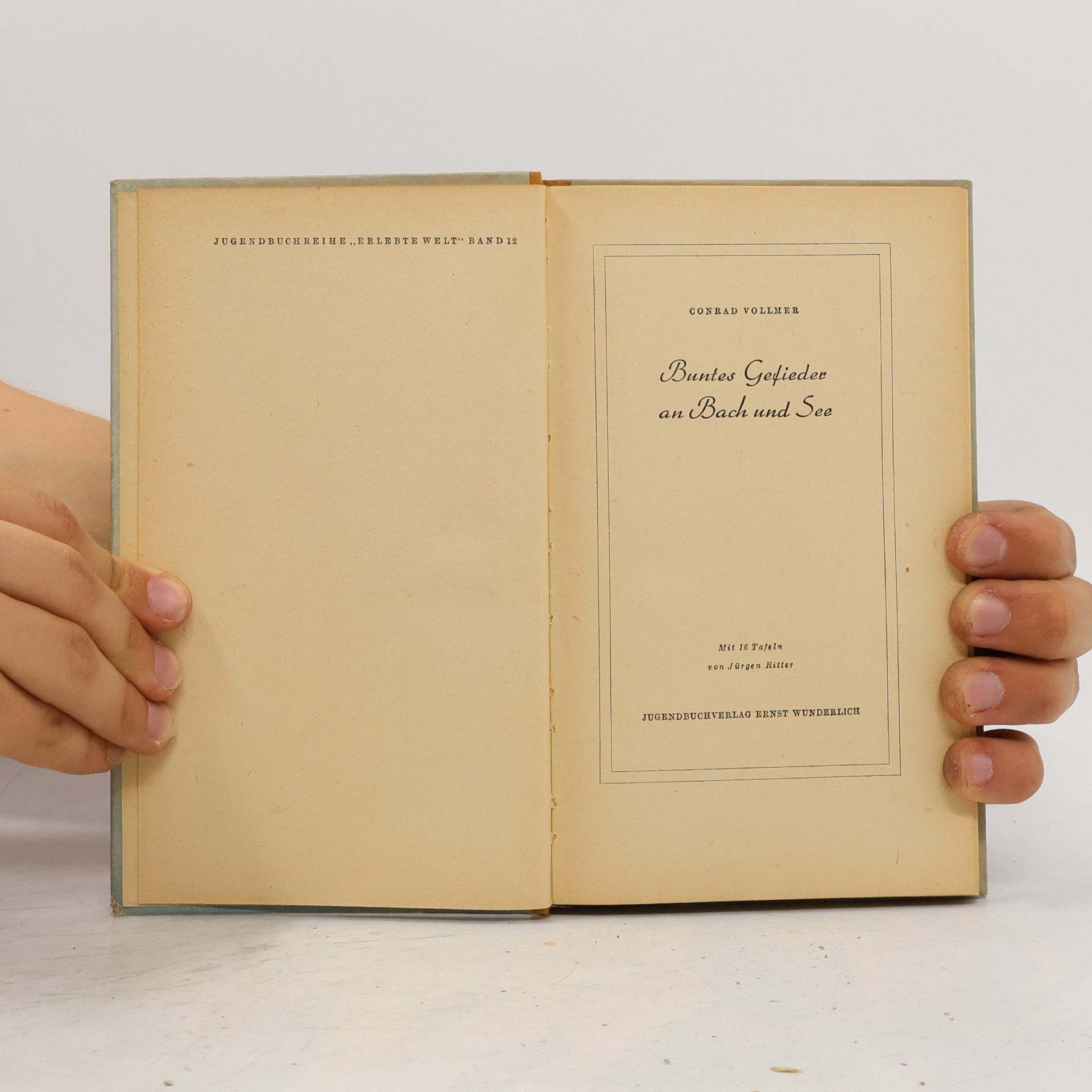 Conrad Vollmer Buntes Gefieders an Buch und See