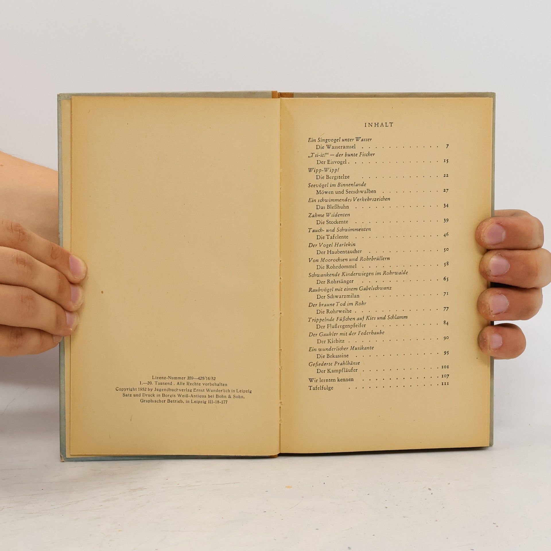 Conrad Vollmer Buntes Gefieders an Buch und See