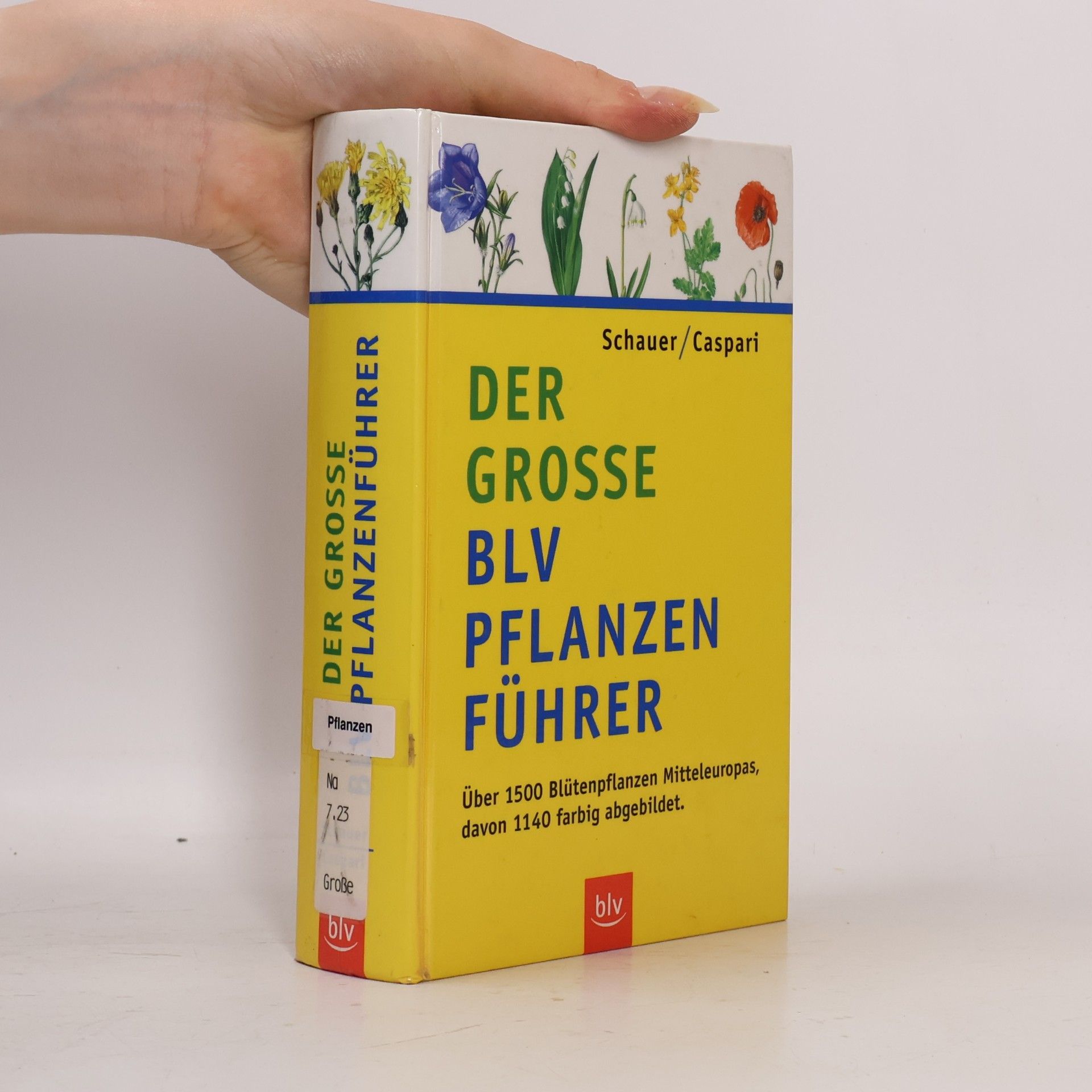 Thomas Schauer Der grosse BLV-Pflanzenführer