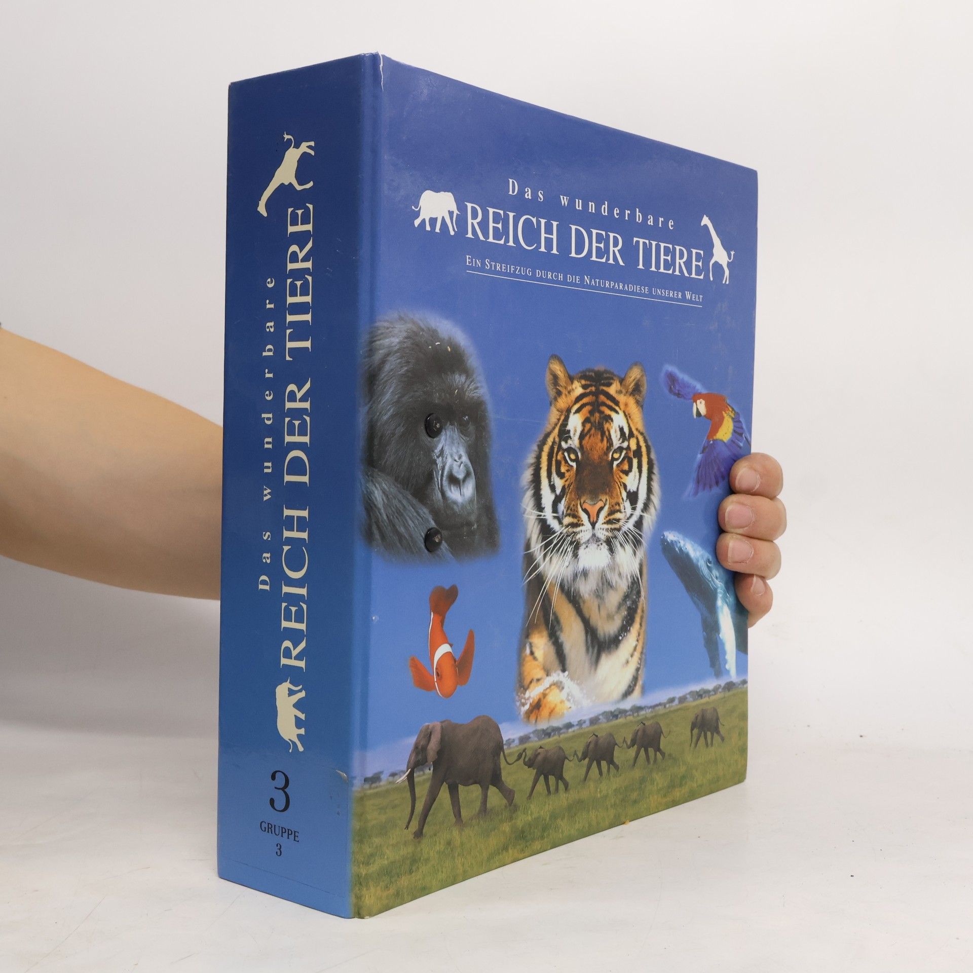 Autorenkollektiv Das wunderbare reich der tiere 3
