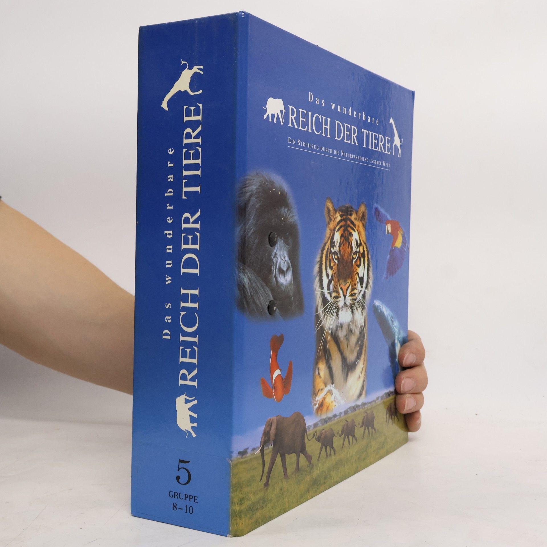 kolektiv Das wunderbare Reich der Tiere 5