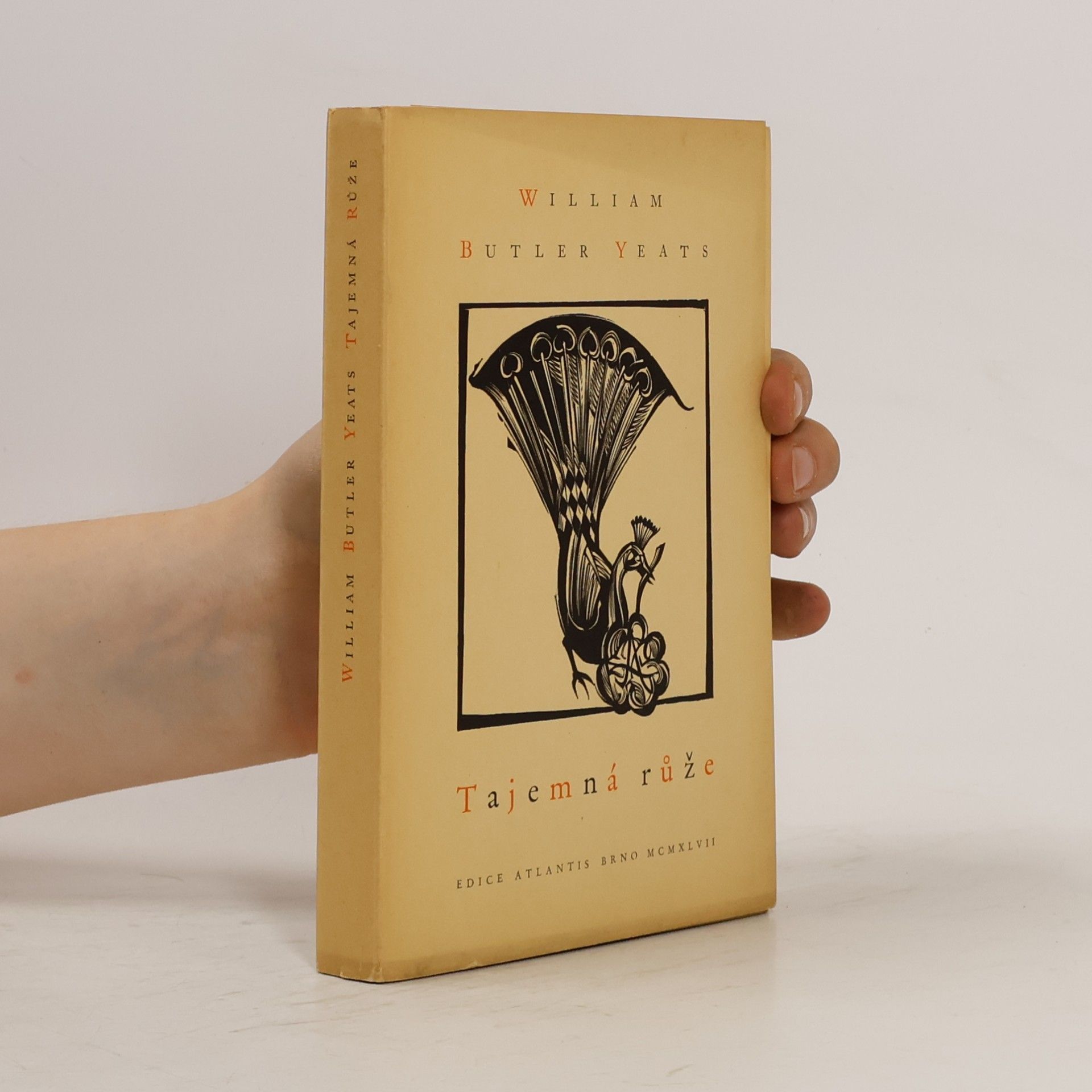 William Butler Yeats Tajemná růže