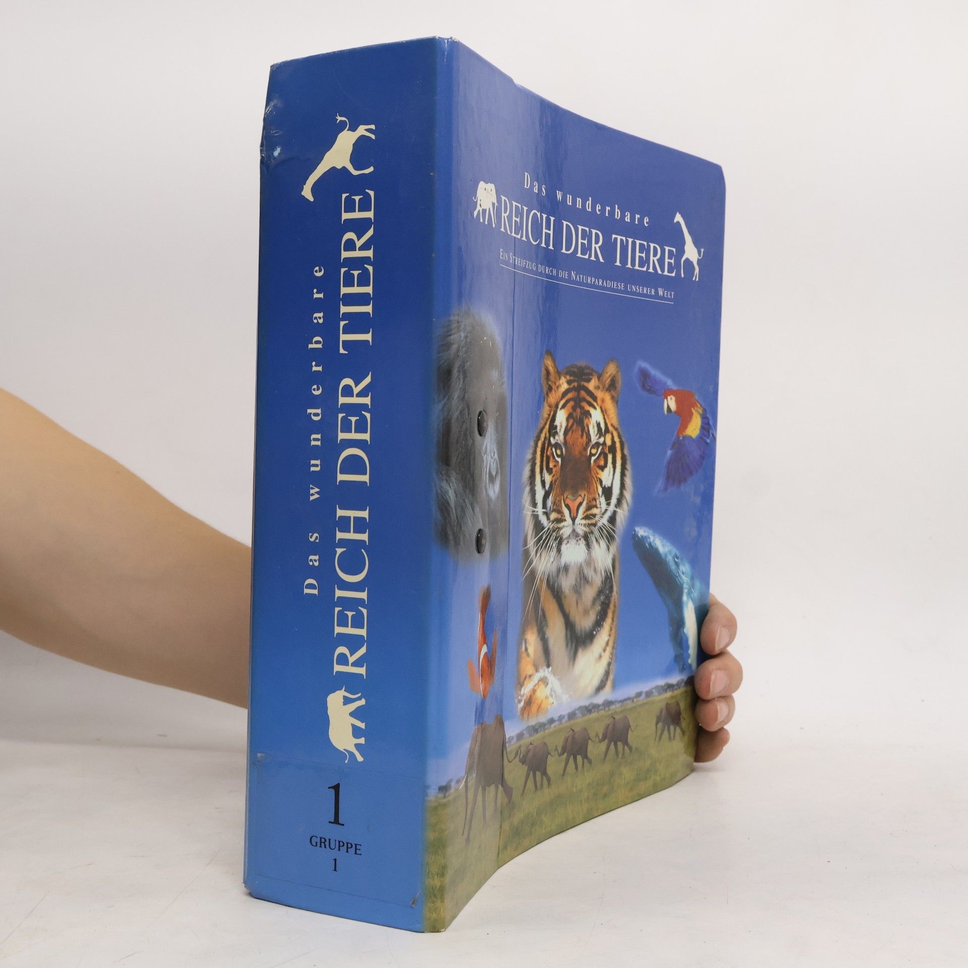 kolektiv Das wunderbare Reich der Tiere 1