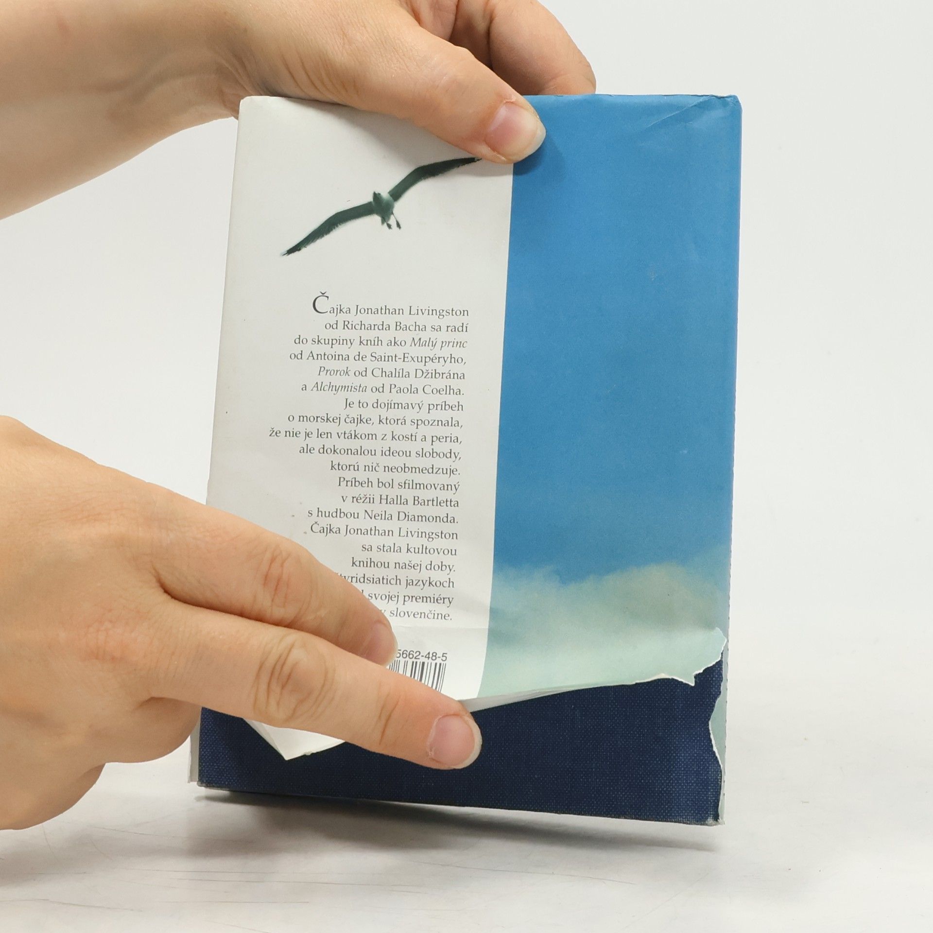 Richard Bach Čajka Jonathan Livingston