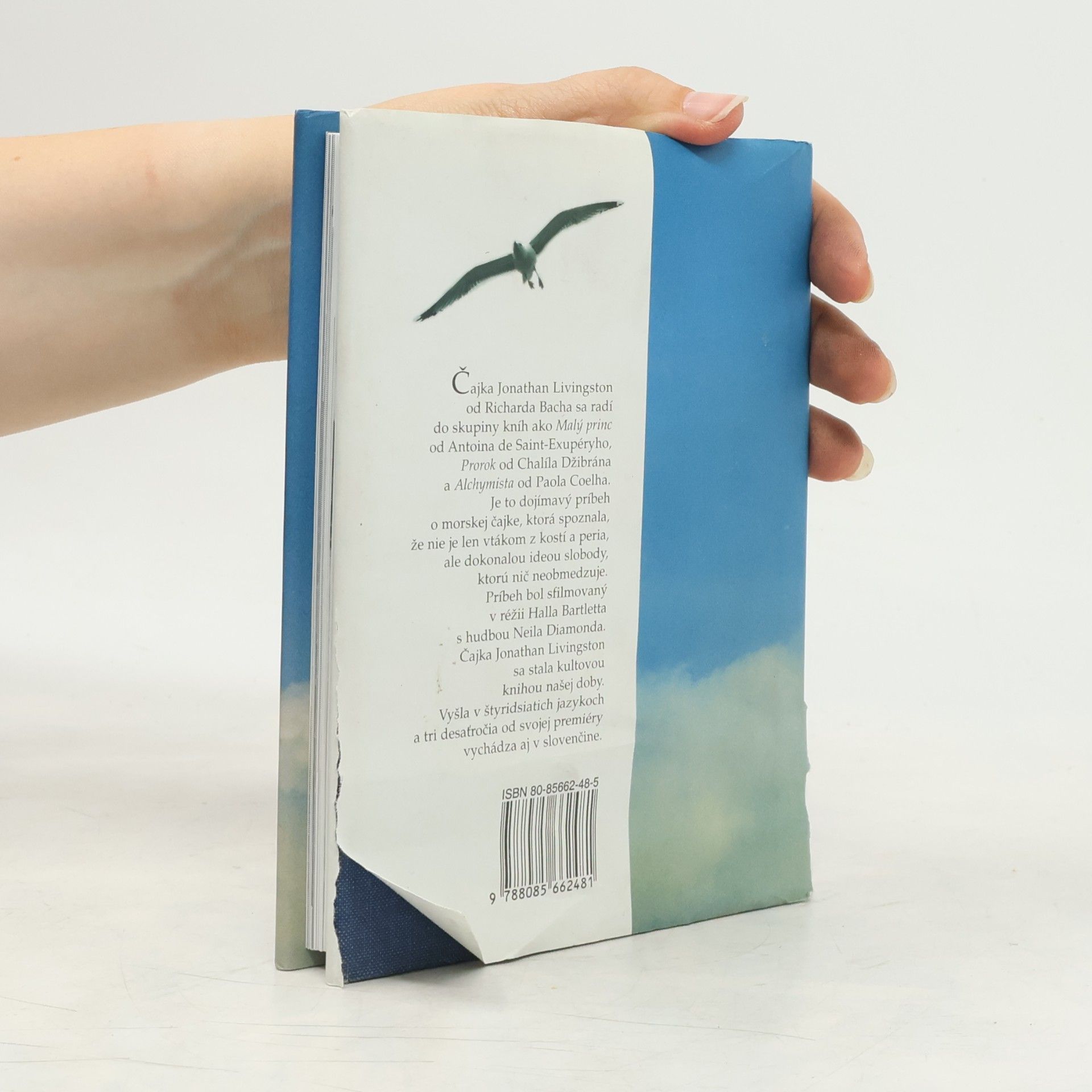 Richard Bach Čajka Jonathan Livingston