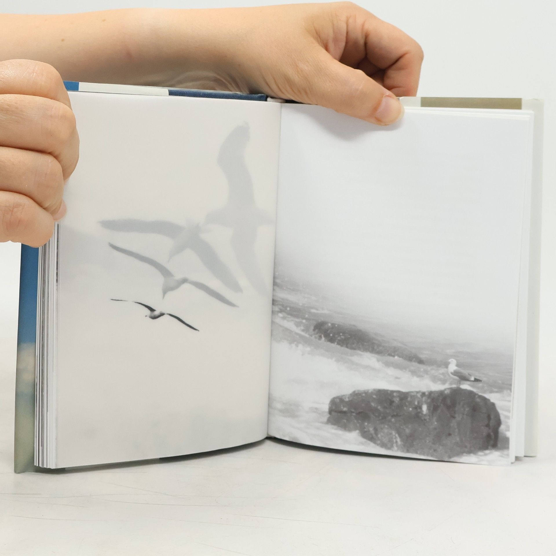 Richard Bach Čajka Jonathan Livingston