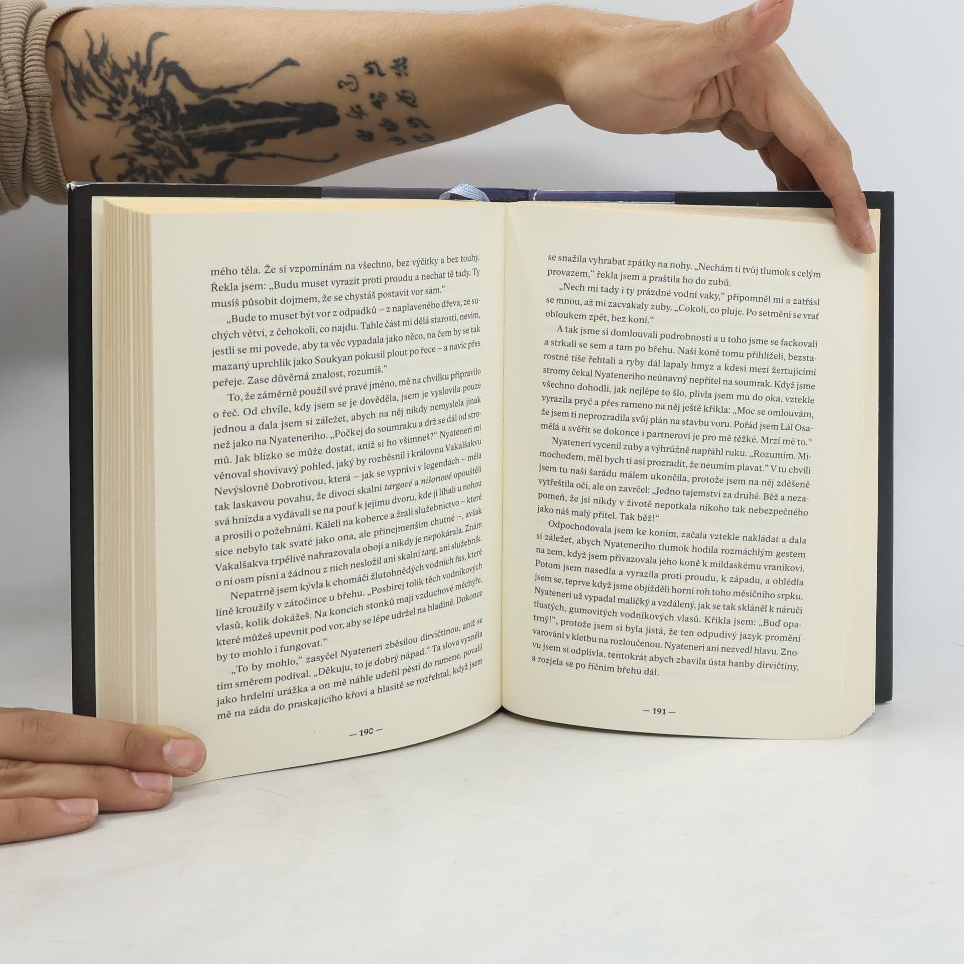Peter S. Beagle Krčmářova píseň