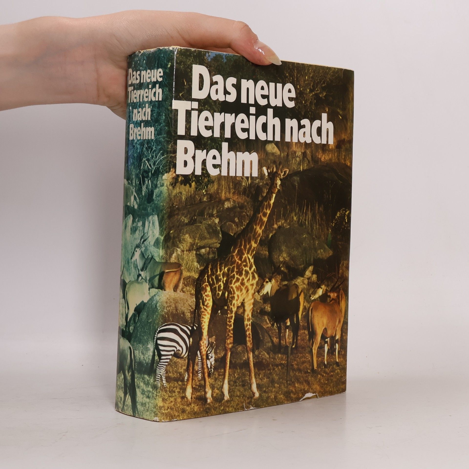 Alfred Edmund Brehm Das neue Tierreich nach Brehm