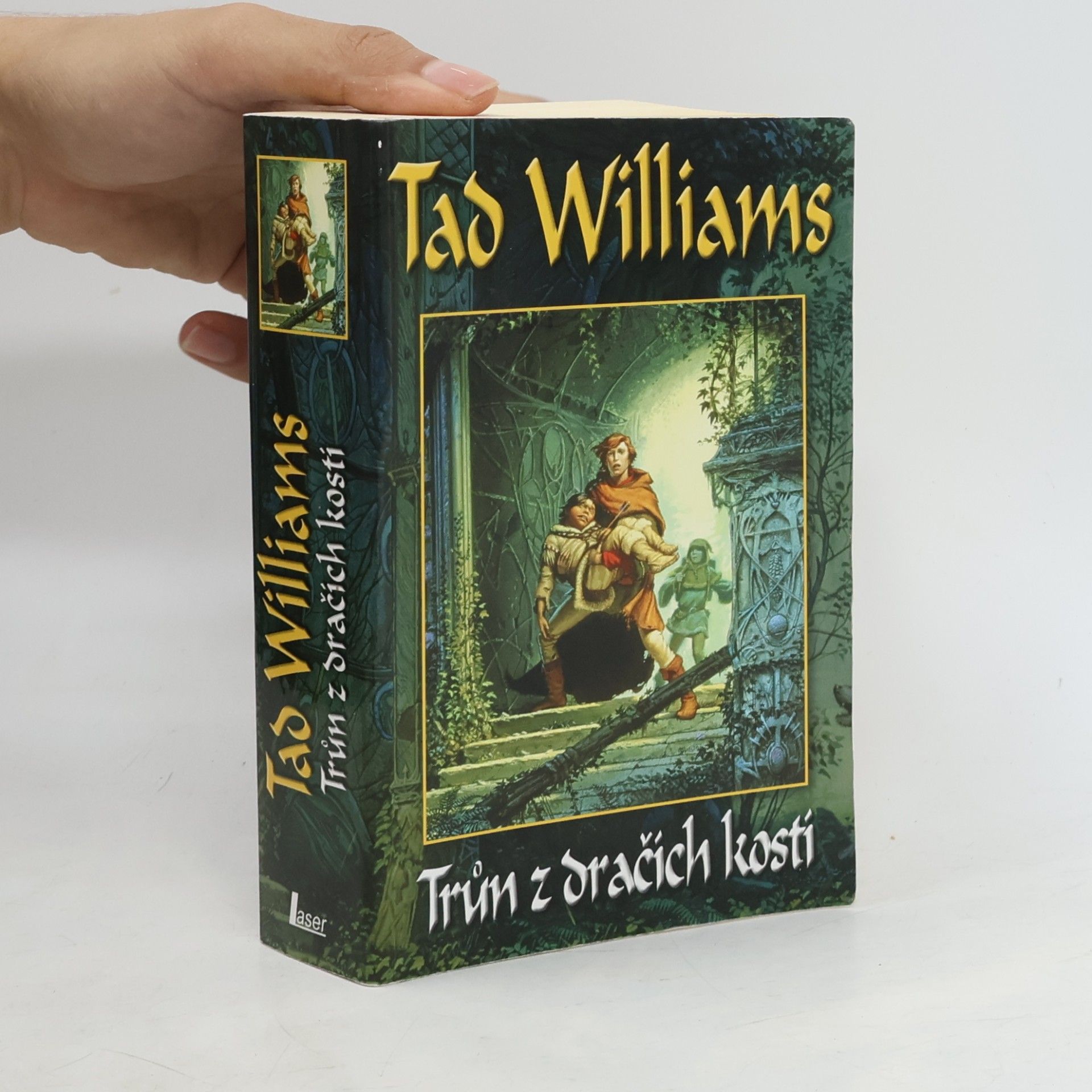 Tad Williams Trůn z dračích kostí